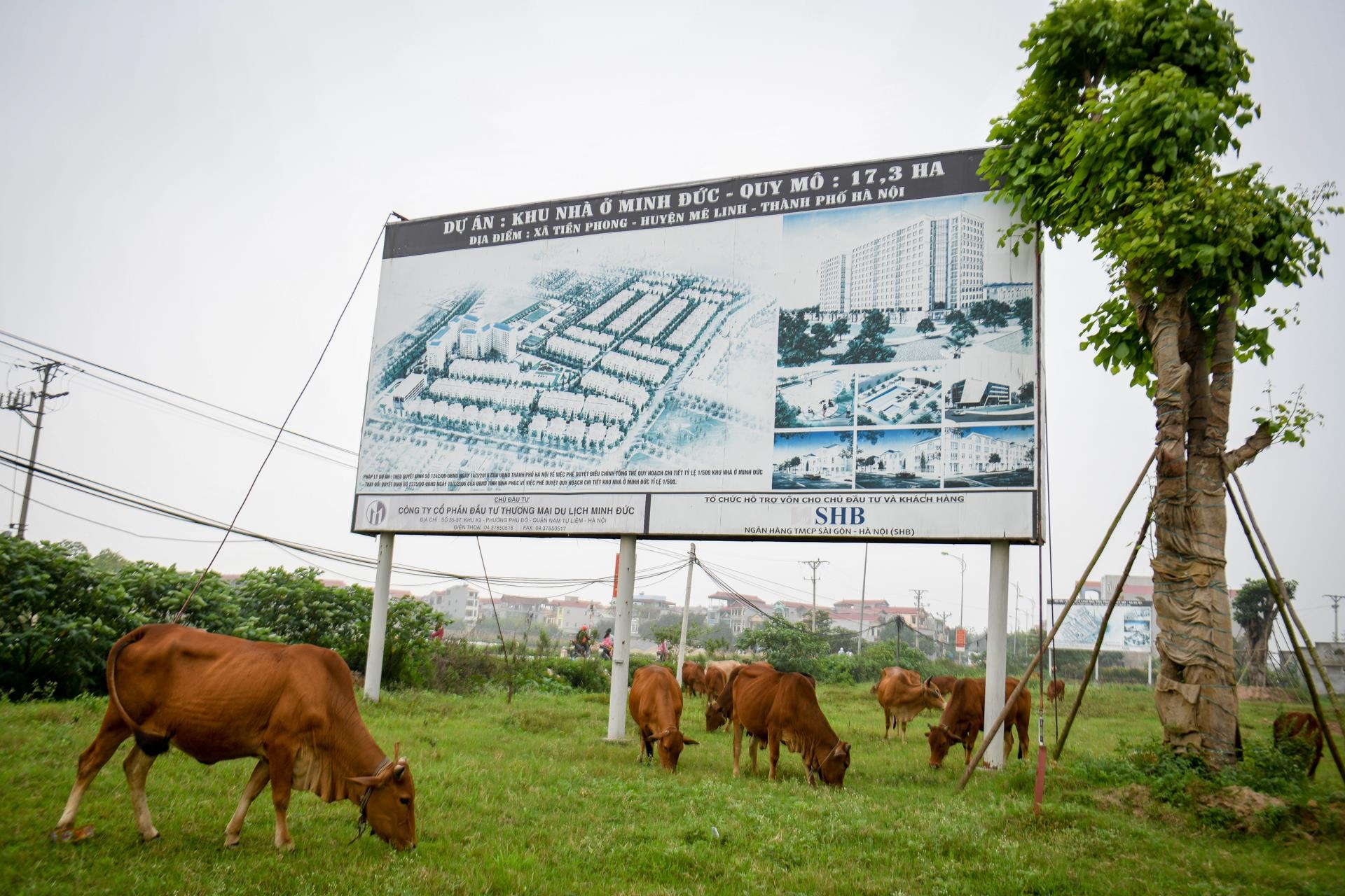 khu do thi bo hoang o Me Linh anh 2