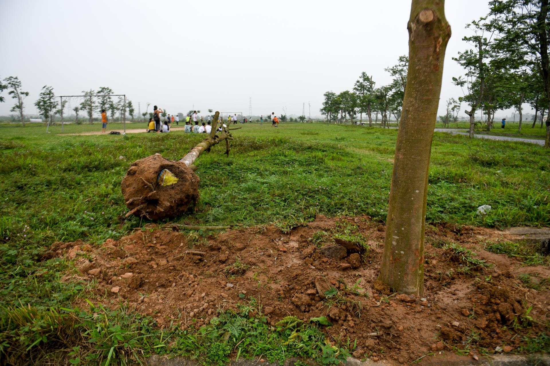 khu do thi bo hoang o Me Linh anh 8