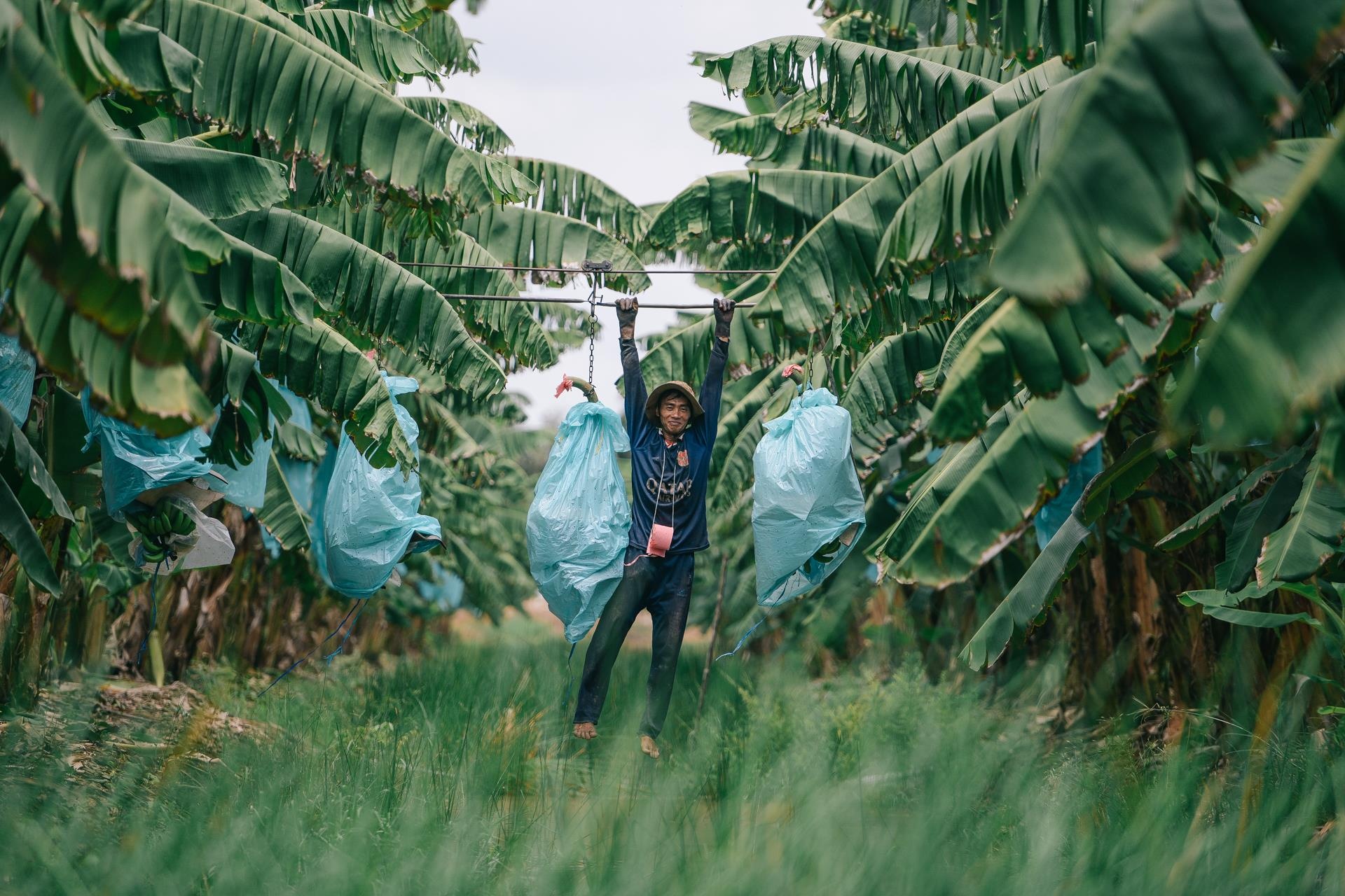 ty phu nong dan va con duong chinh phuc thi truong Nhat Ban anh 30