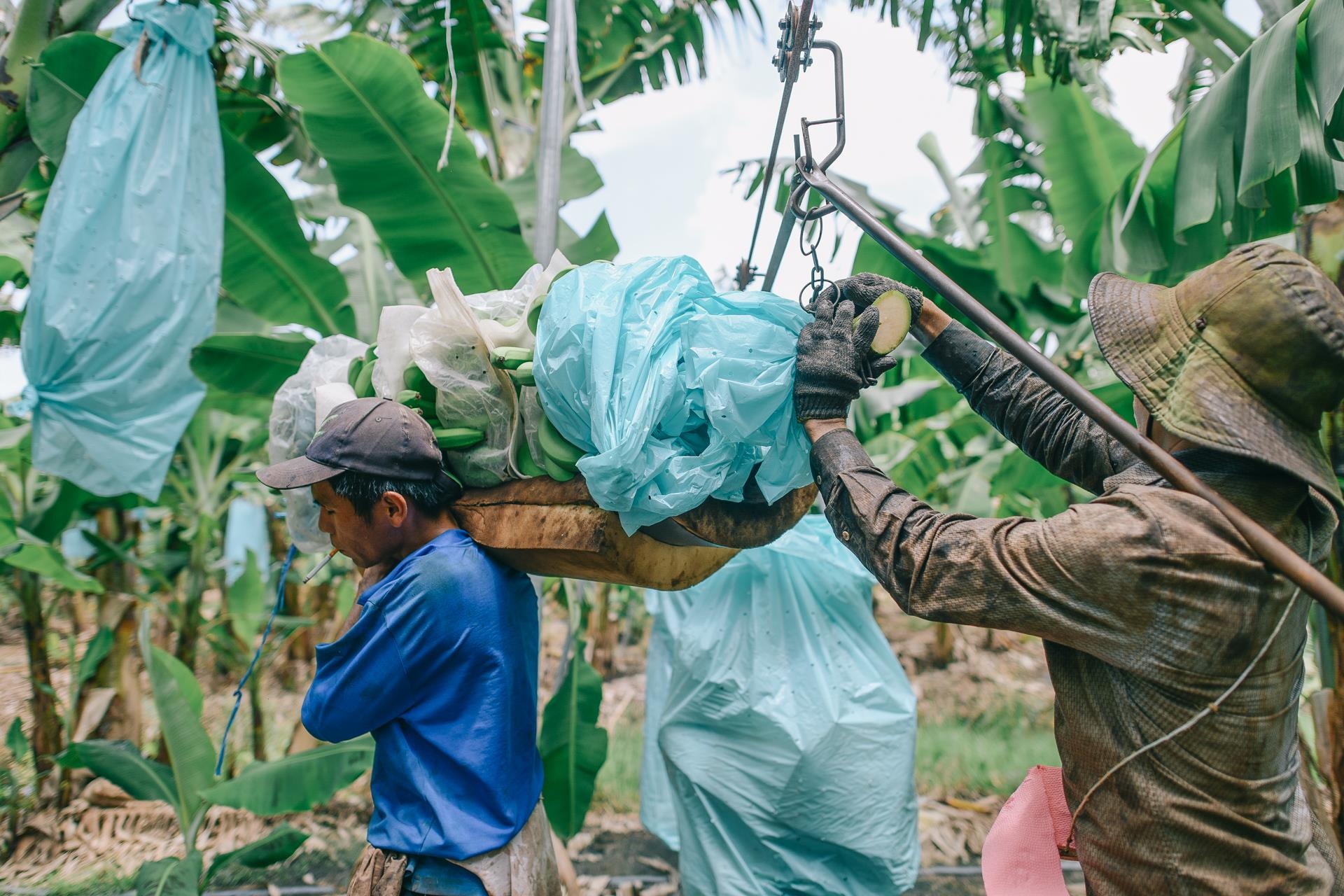 ty phu nong dan va con duong chinh phuc thi truong Nhat Ban anh 26