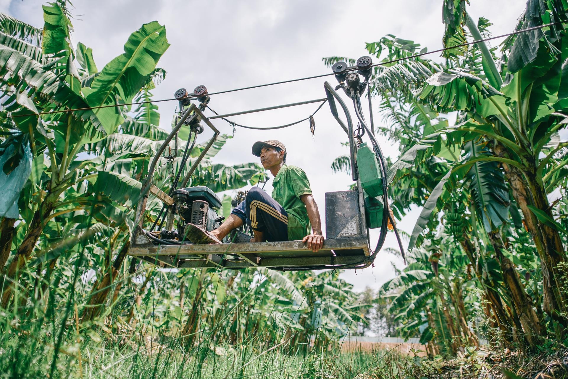 ty phu nong dan va con duong chinh phuc thi truong Nhat Ban anh 28