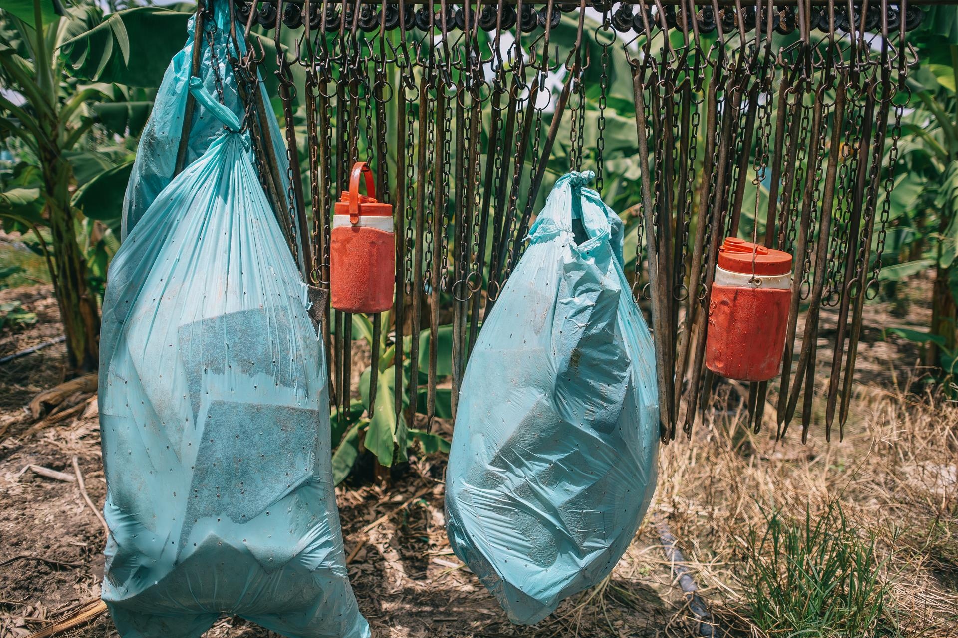 ty phu nong dan va con duong chinh phuc thi truong Nhat Ban anh 27