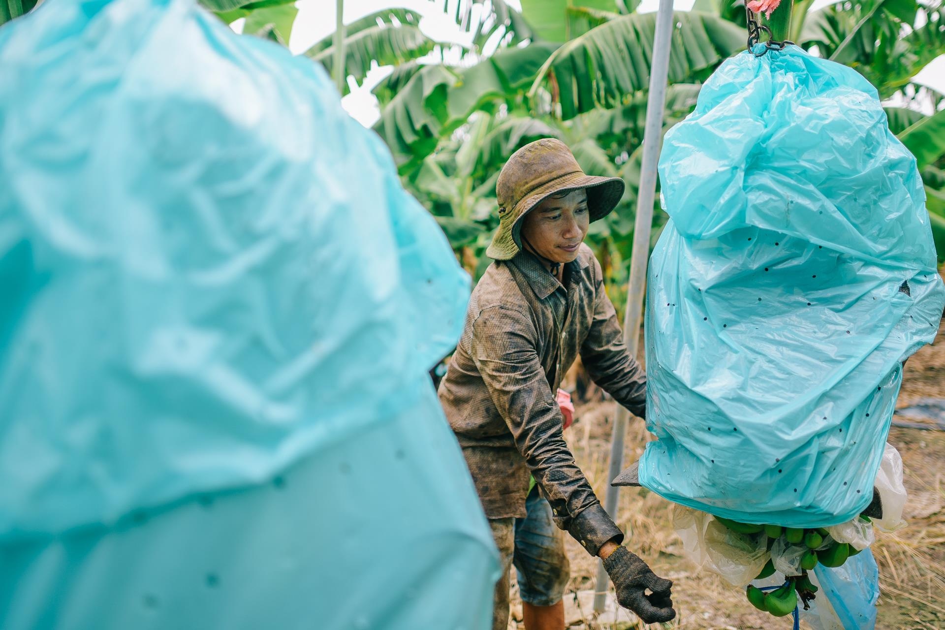 ty phu nong dan va con duong chinh phuc thi truong Nhat Ban anh 25
