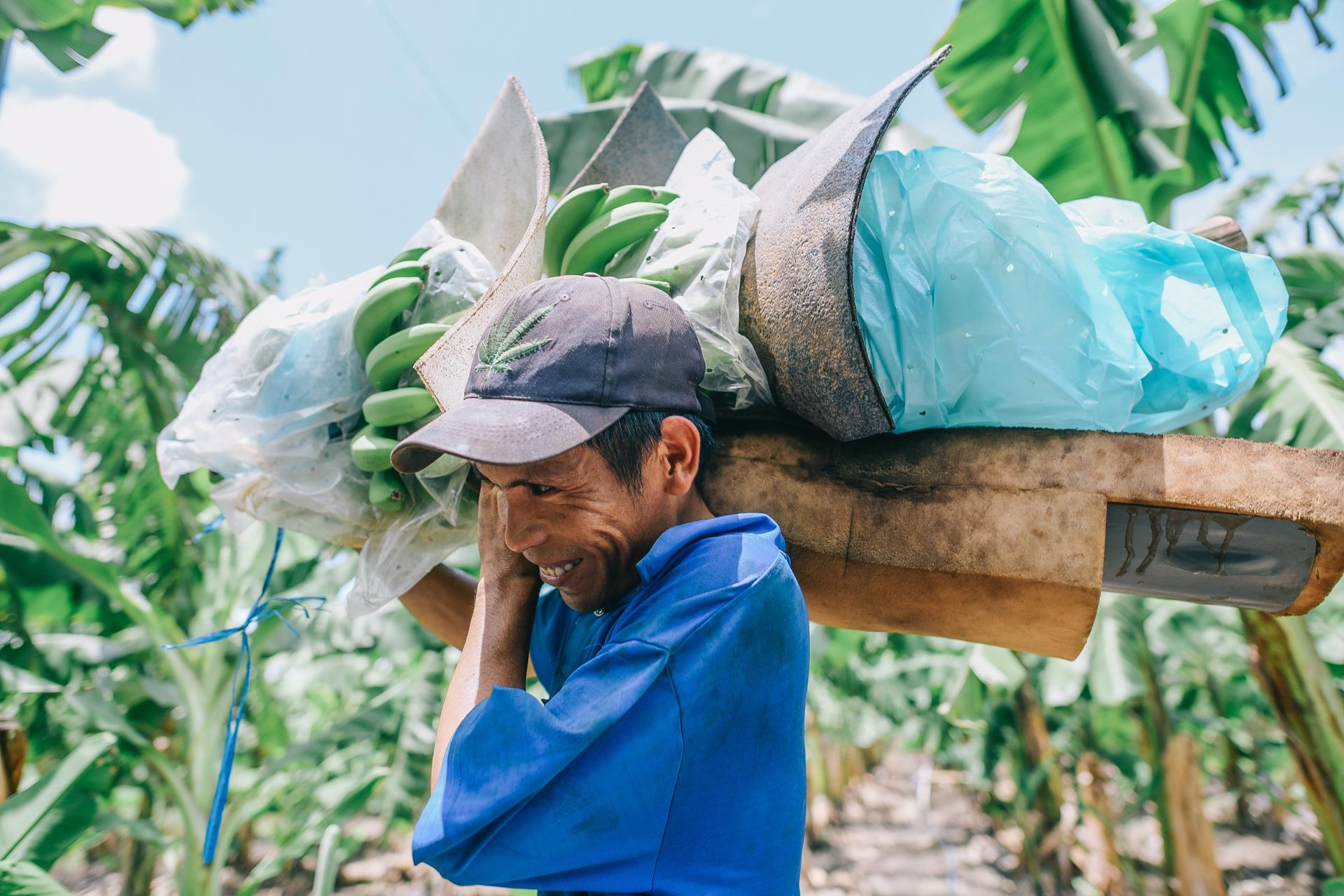 ty phu nong dan va con duong chinh phuc thi truong Nhat Ban anh 23
