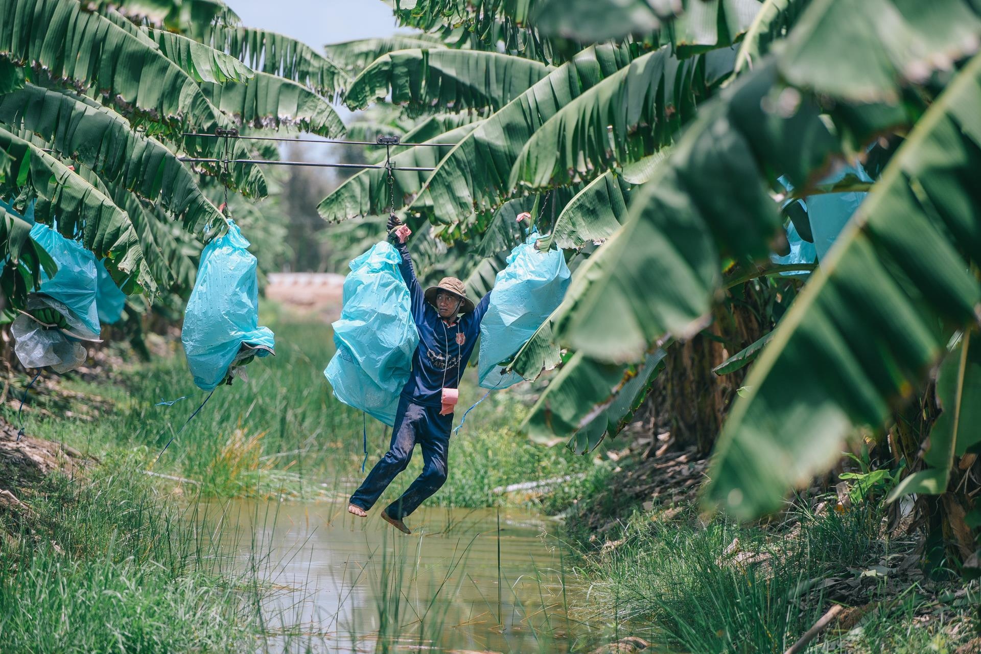 ty phu nong dan va con duong chinh phuc thi truong Nhat Ban anh 2