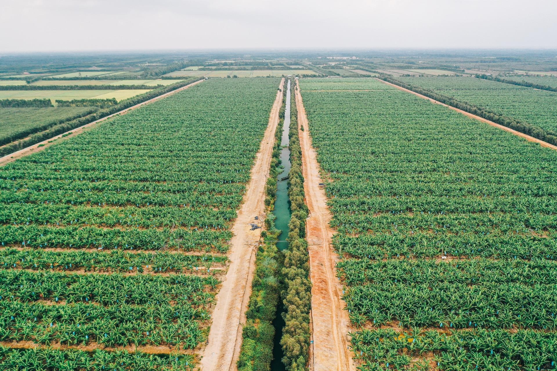 ty phu nong dan va con duong chinh phuc thi truong Nhat Ban anh 4