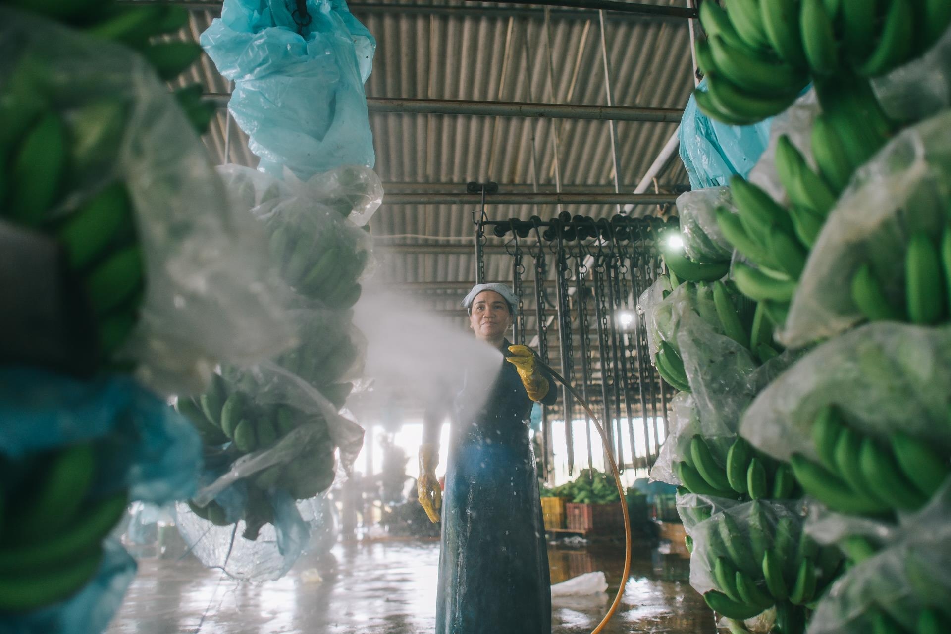 ty phu nong dan va con duong chinh phuc thi truong Nhat Ban anh 11