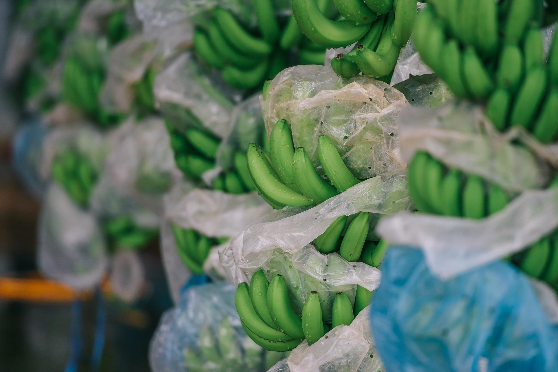 ty phu nong dan va con duong chinh phuc thi truong Nhat Ban anh 15