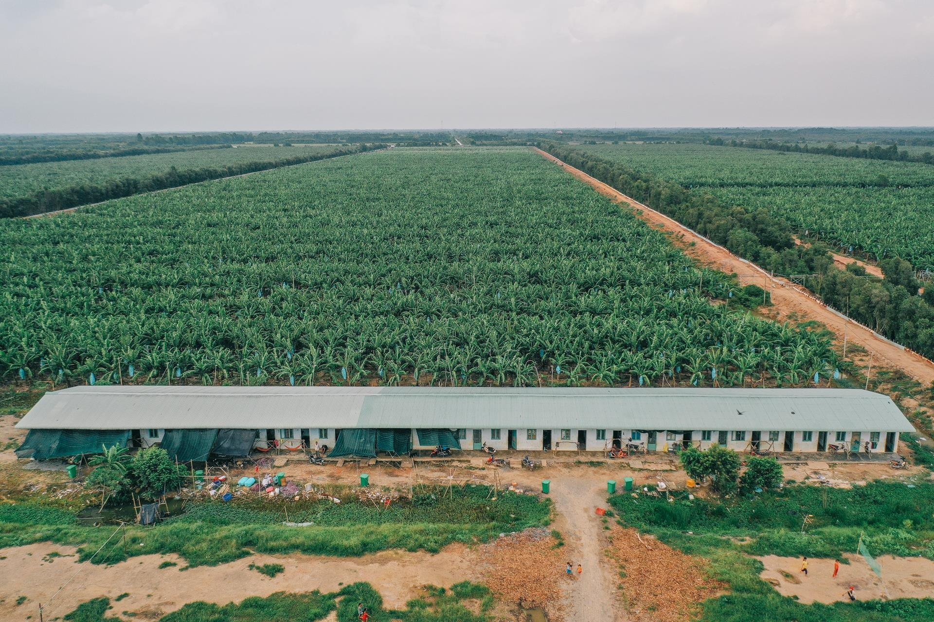 ty phu nong dan va con duong chinh phuc thi truong Nhat Ban anh 18