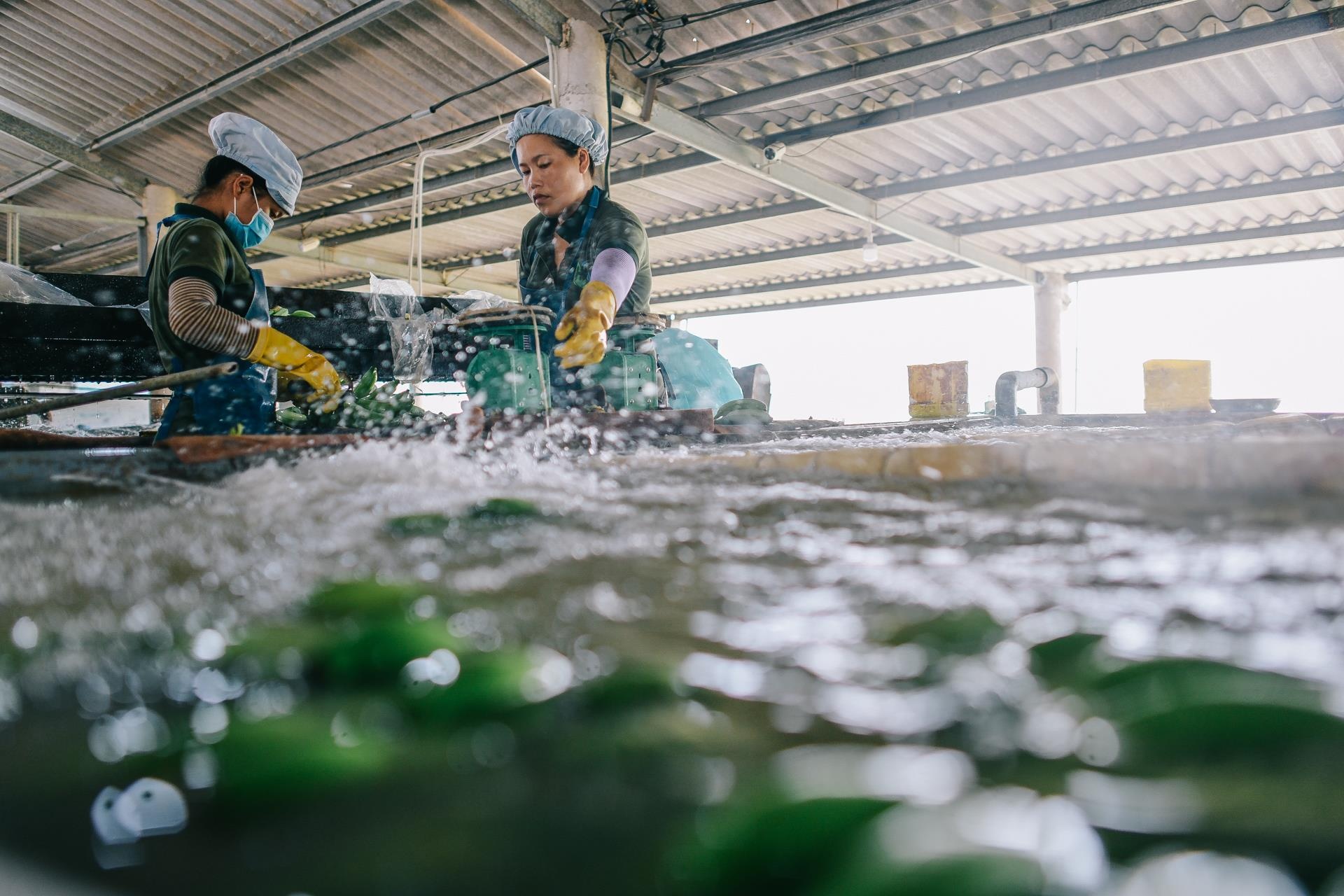 ty phu nong dan va con duong chinh phuc thi truong Nhat Ban anh 12