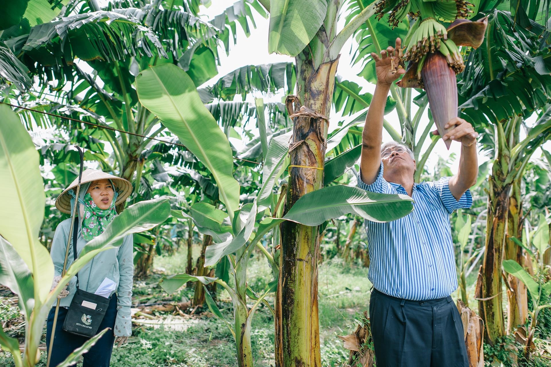 ty phu nong dan va con duong chinh phuc thi truong Nhat Ban anh 7
