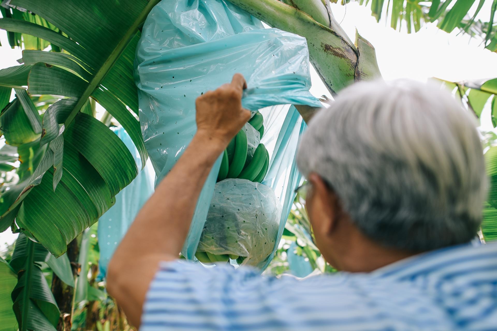 ty phu nong dan va con duong chinh phuc thi truong Nhat Ban anh 6