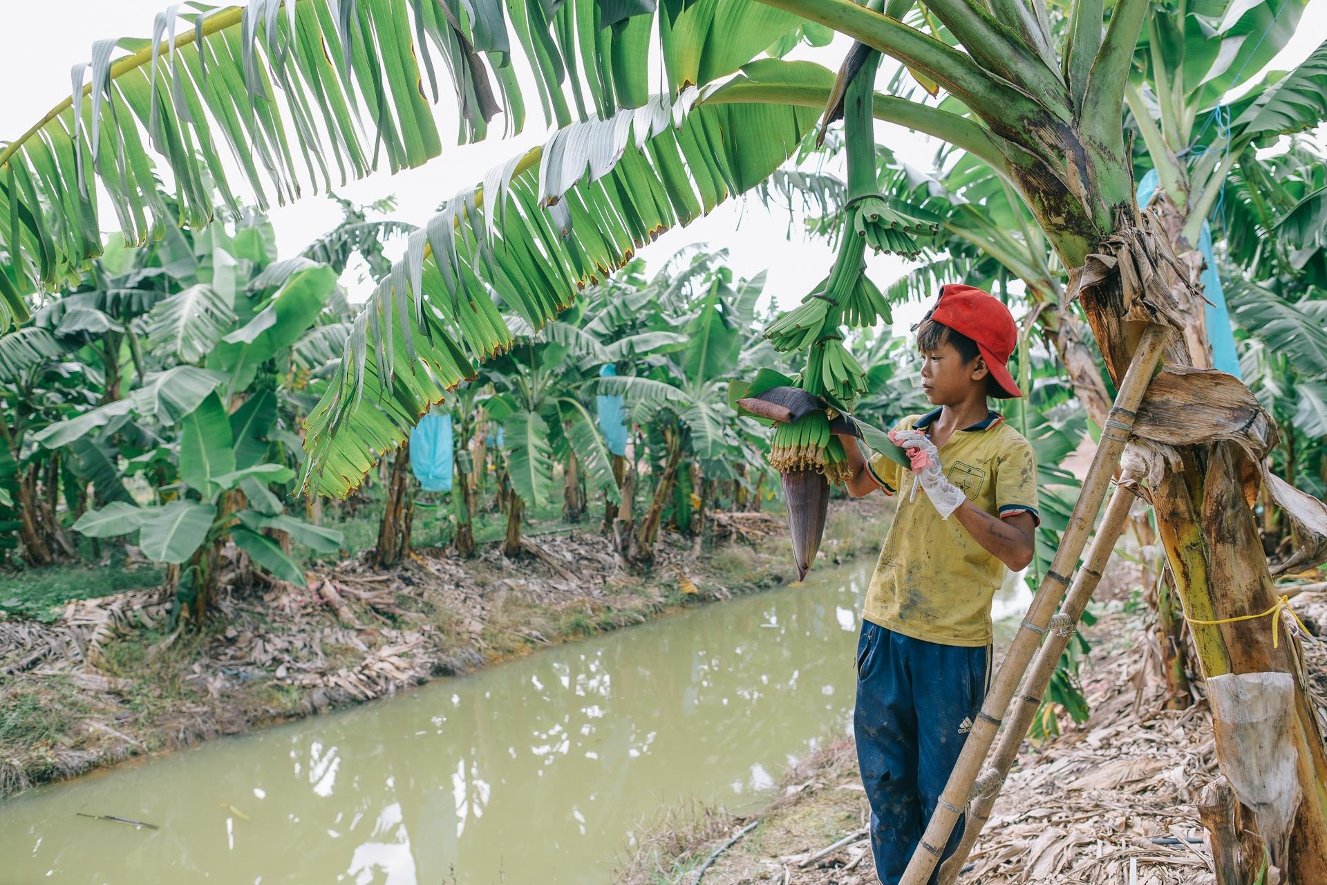 ty phu nong dan va con duong chinh phuc thi truong Nhat Ban anh 20