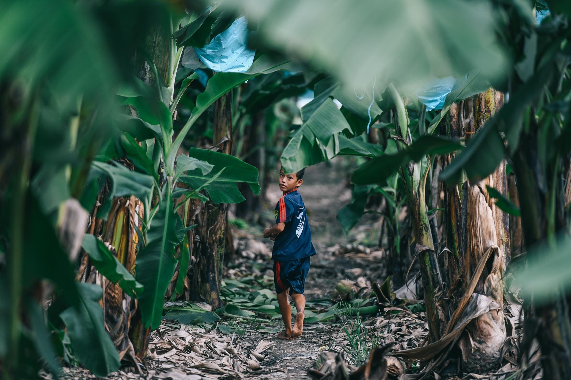 ty phu nong dan va con duong chinh phuc thi truong Nhat Ban anh 34