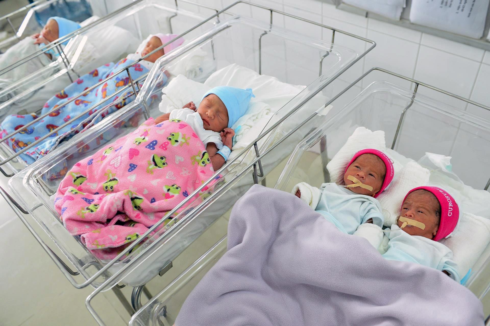 lễ khai giảng của 5 anh em ảnh 2 le khai giang cua 5 anh em anh 2