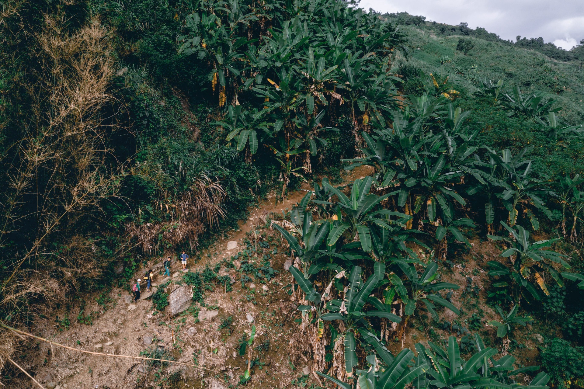 Co giao cam ban anh 2