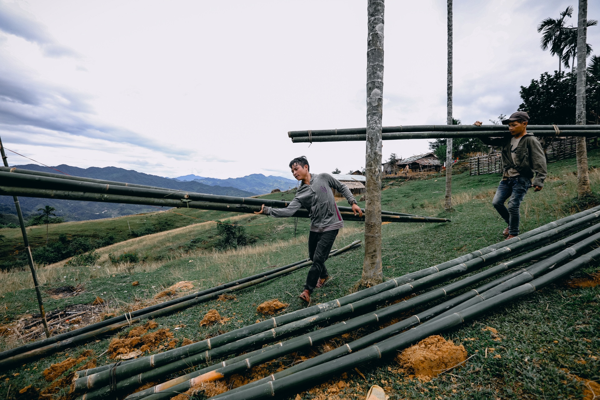 Co giao cam ban anh 19