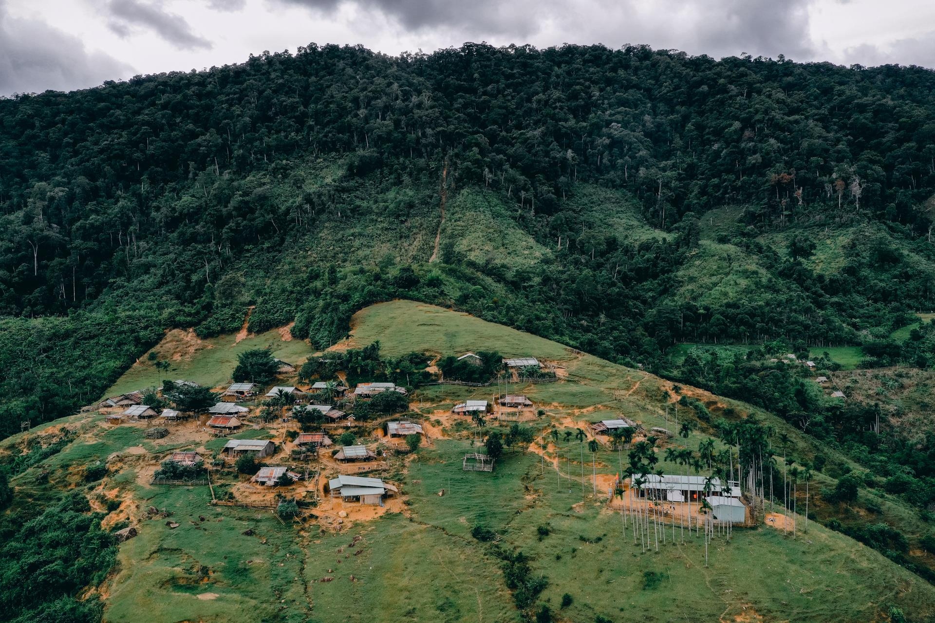 Co giao cam ban anh 4