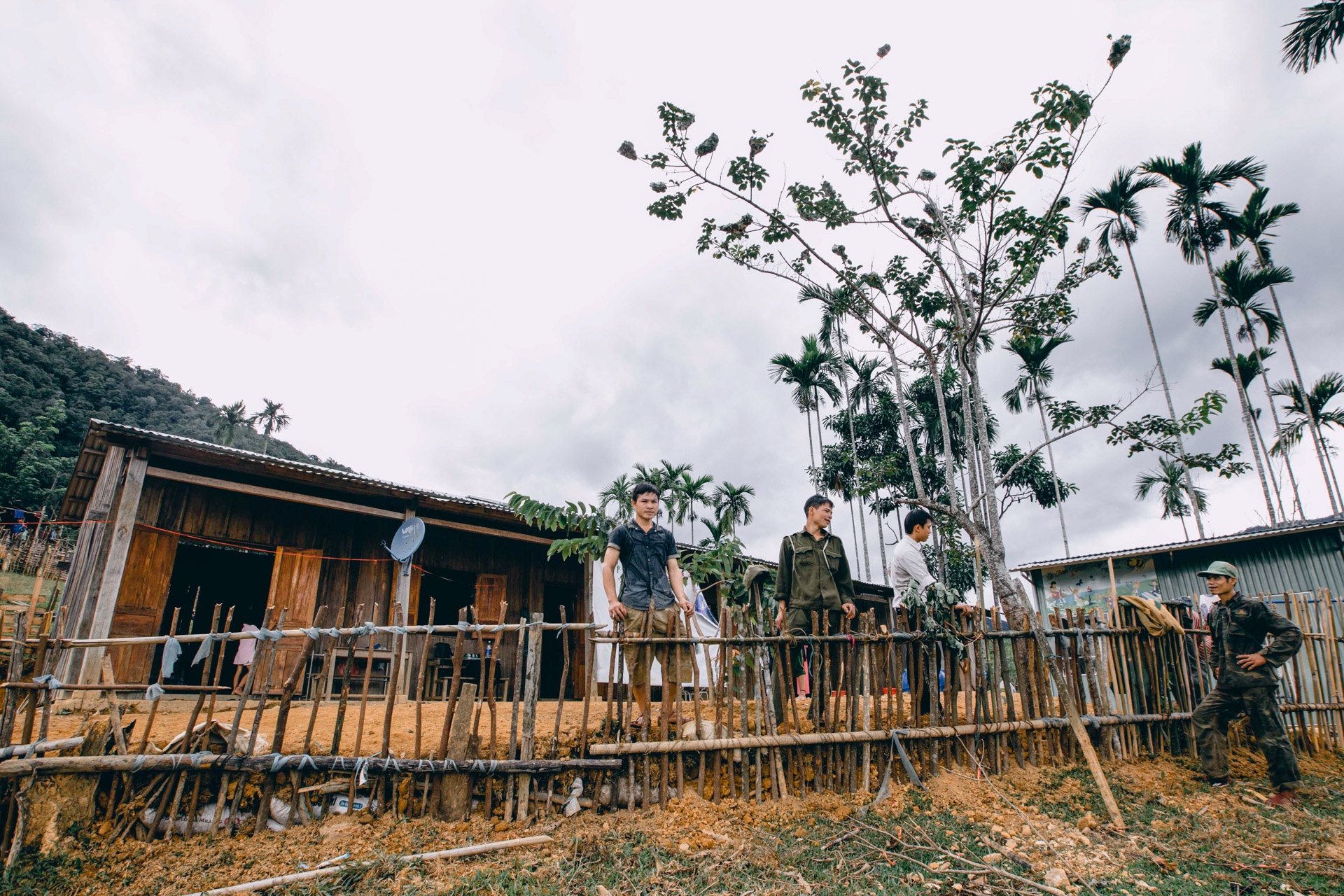 Co giao cam ban anh 20