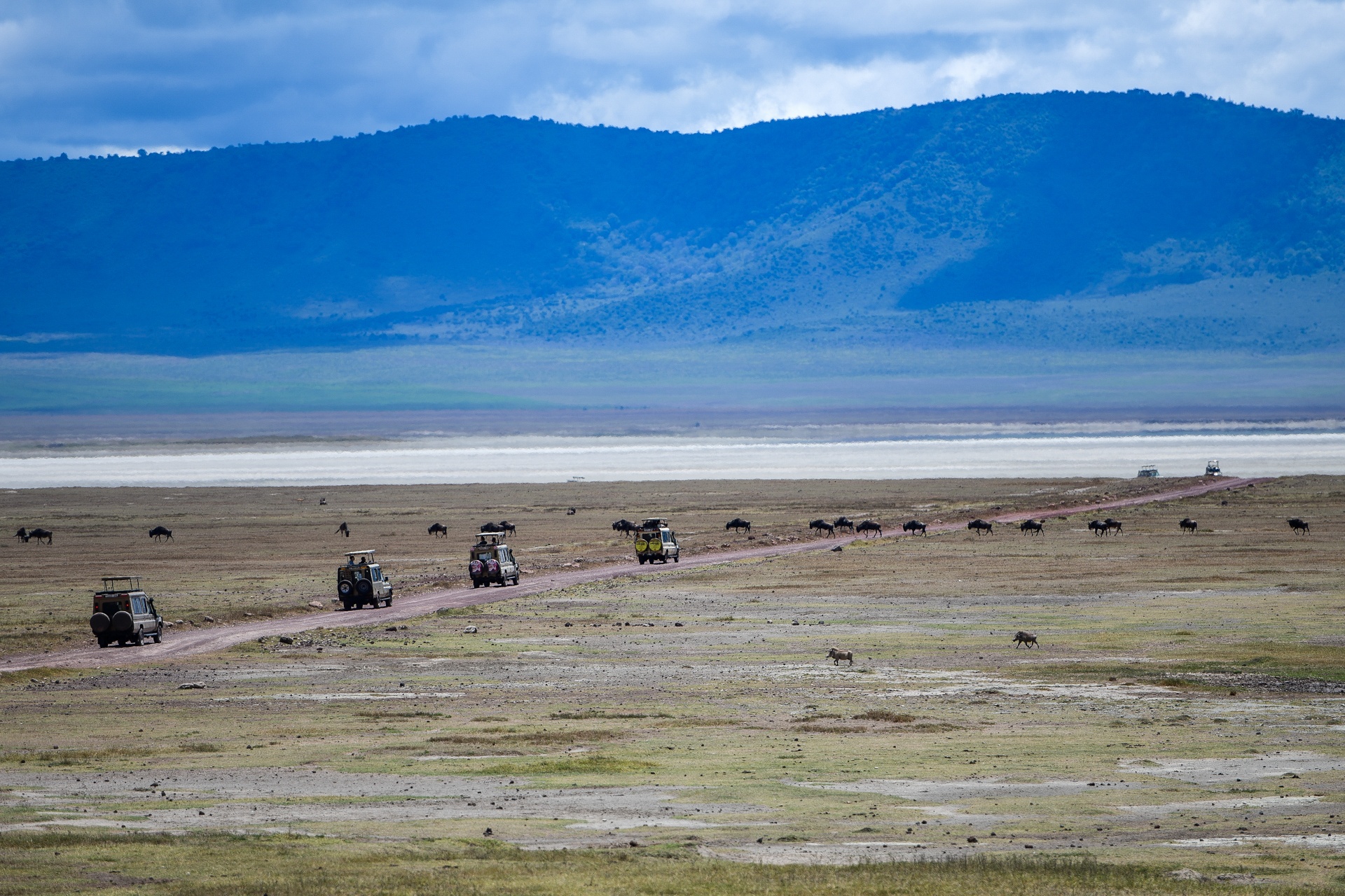 tanzania ảnh 7 tanzania anh 7