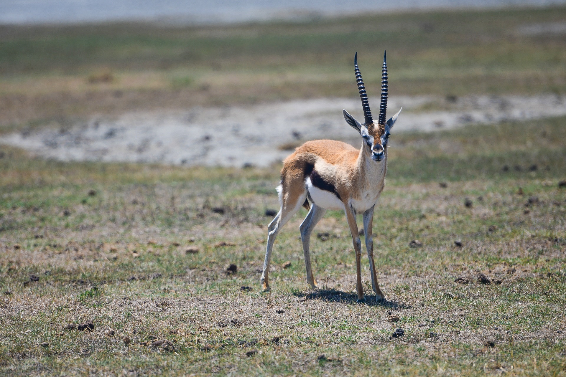 tanzania ảnh 6 tanzania anh 6