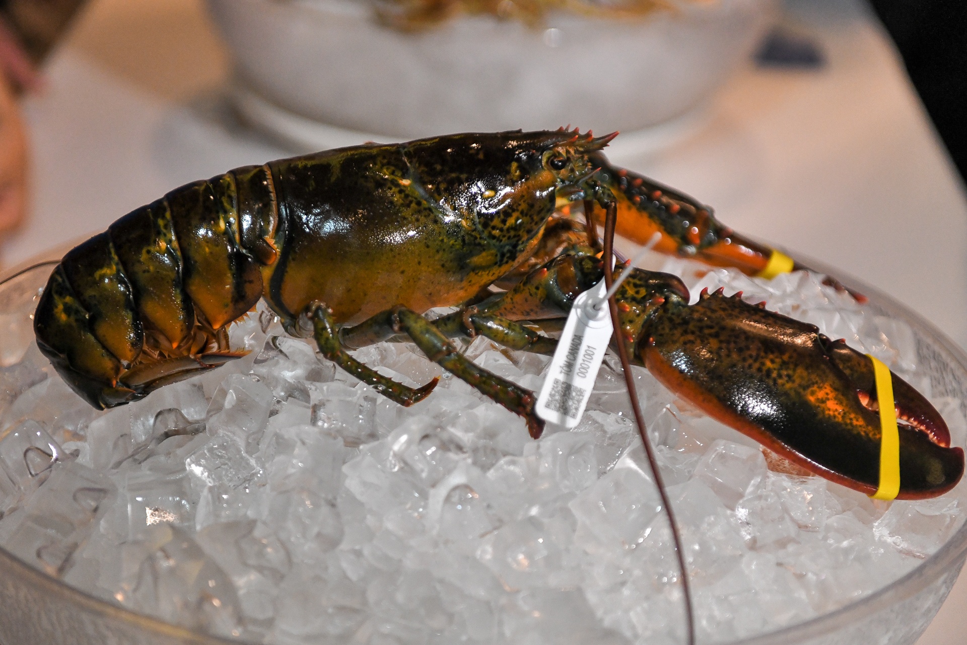 am thuc Canada anh 2