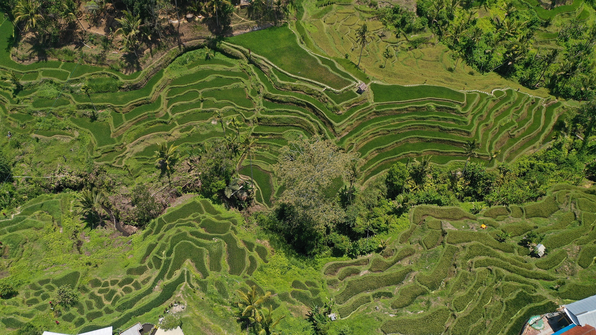 du lịch Bali ảnh 24 du lich Bali anh 24