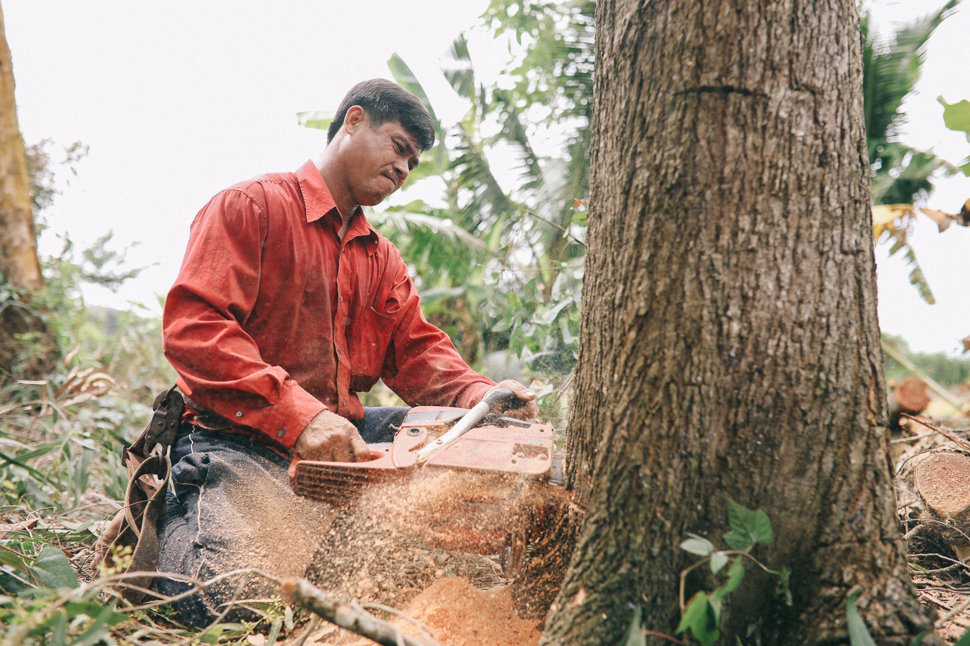 xây nhà miễn phí cho người dân ảnh 16 xay nha mien phi cho nguoi dan anh 16