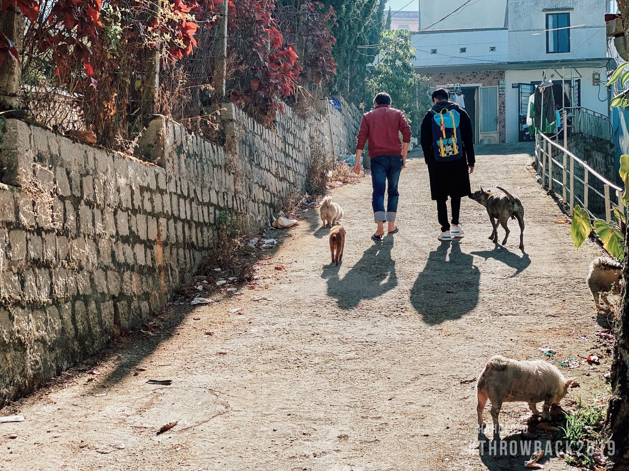 cuoc thi chup anh du lich anh 14