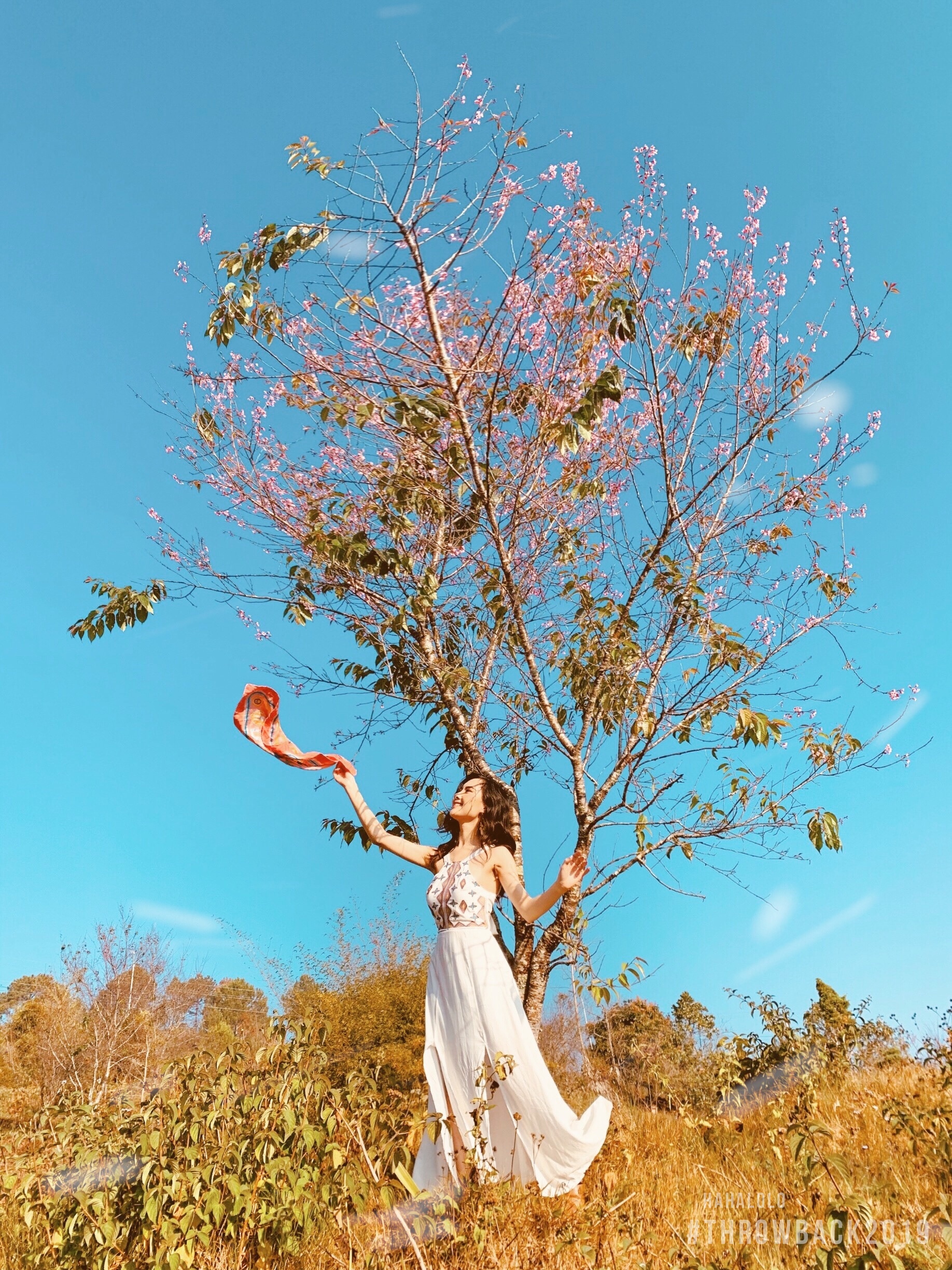 cuoc thi chup anh du lich anh 6