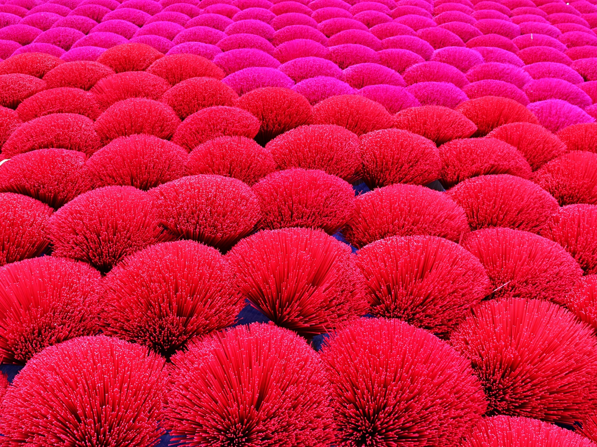 lang lam huong ngay tet anh 7