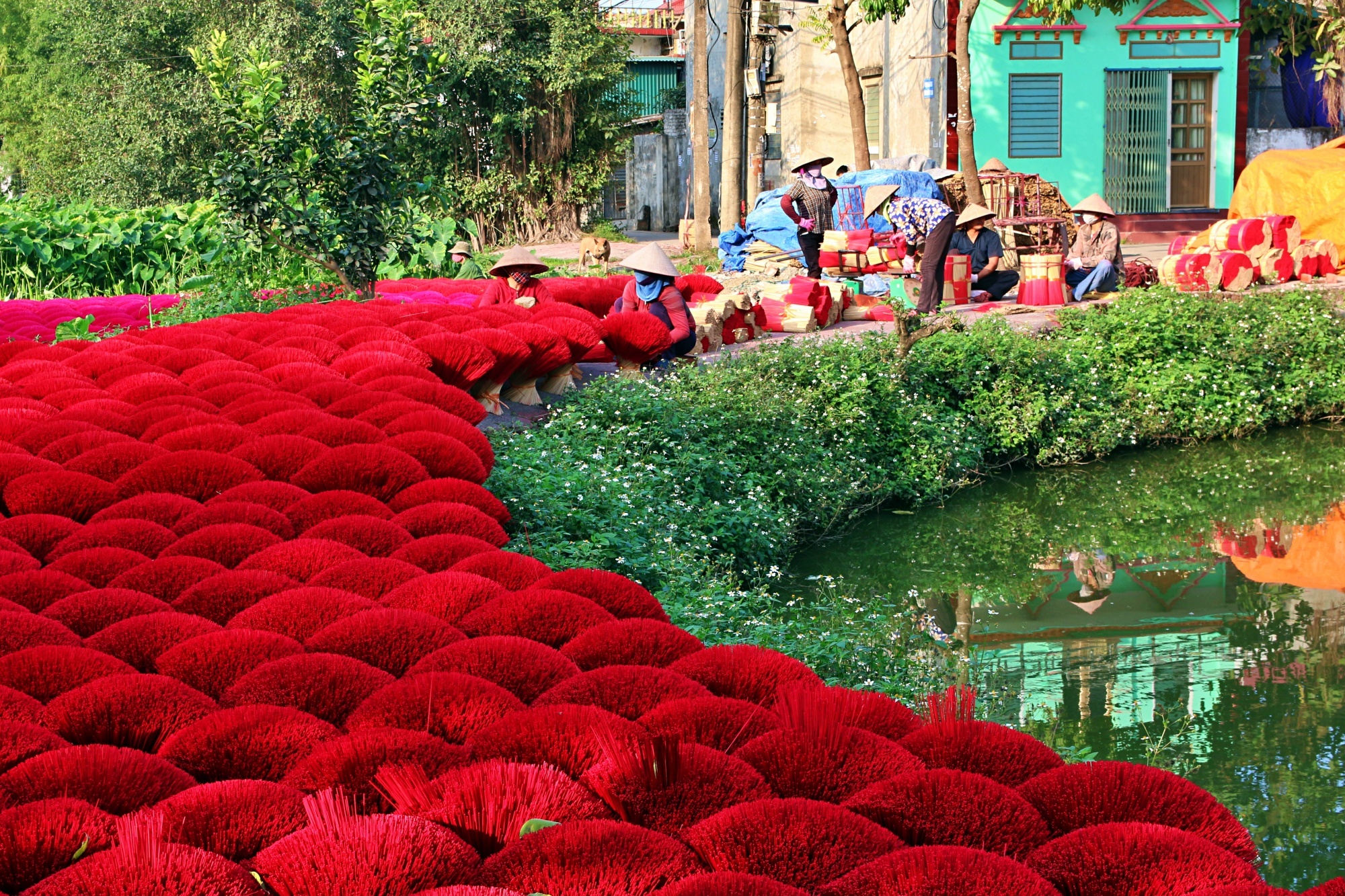 Lang tam huong duy nhat con lai o Ha Noi hoi ha truoc Tet hinh anh