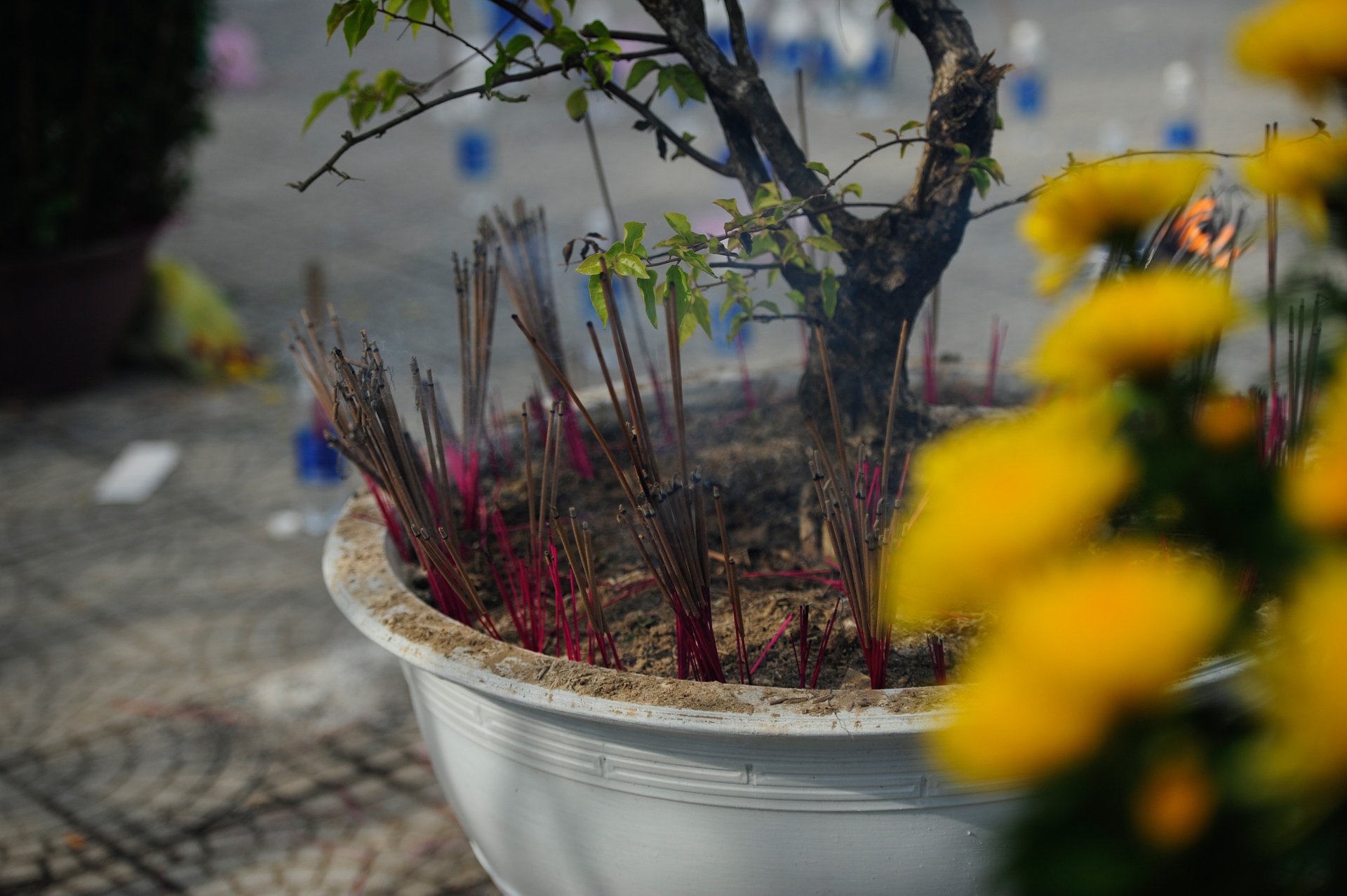 rác thải ngày đầu năm ảnh 12 rac thai ngay dau nam anh 12