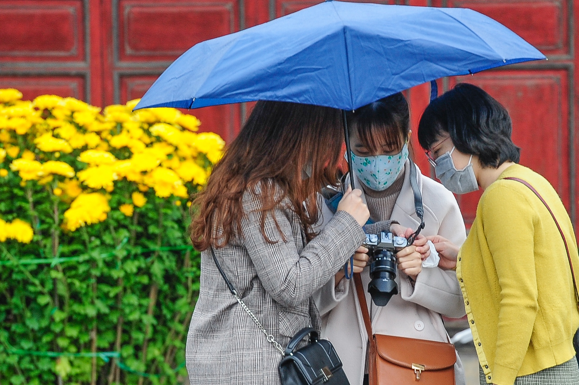 Phong dich benh virus corona o Hue anh 9