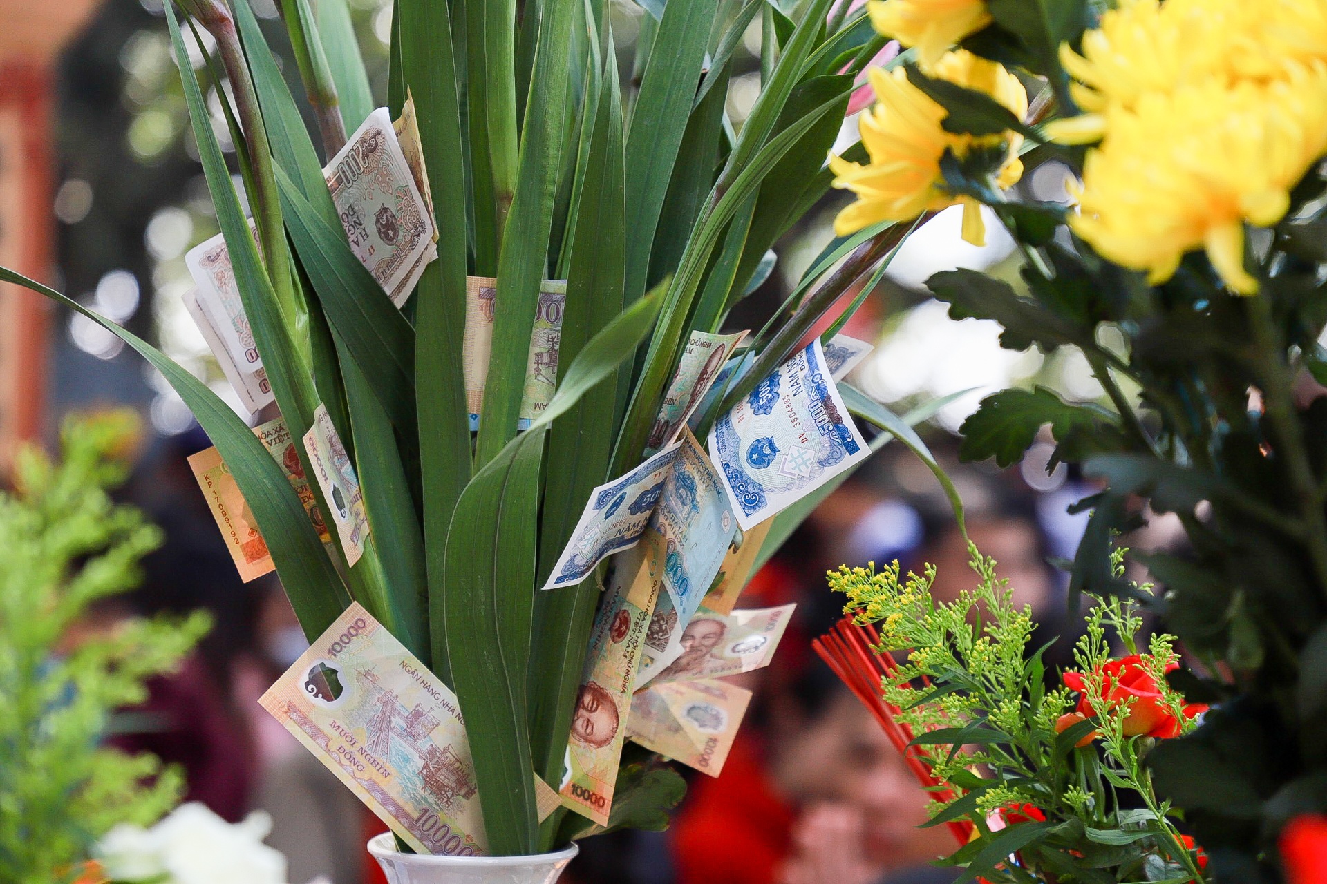 le phu tay ho dau nam anh 8