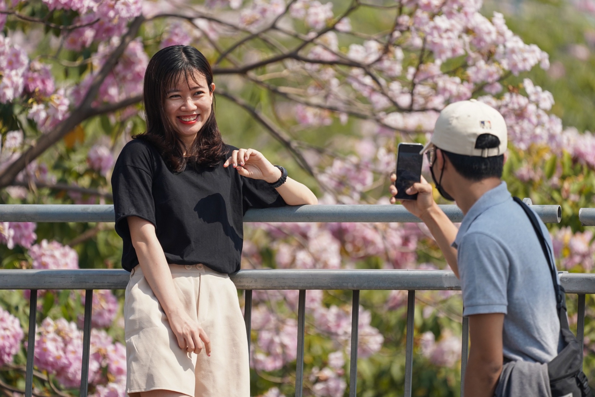 Hoa ken hong ruc ro khap neo duong TP.HCM hinh anh