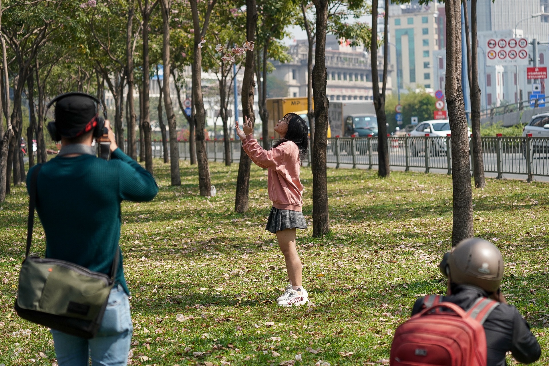 hoa kèn hồng ở TP.HCM ảnh 7 hoa ken hong o TP.HCM anh 7