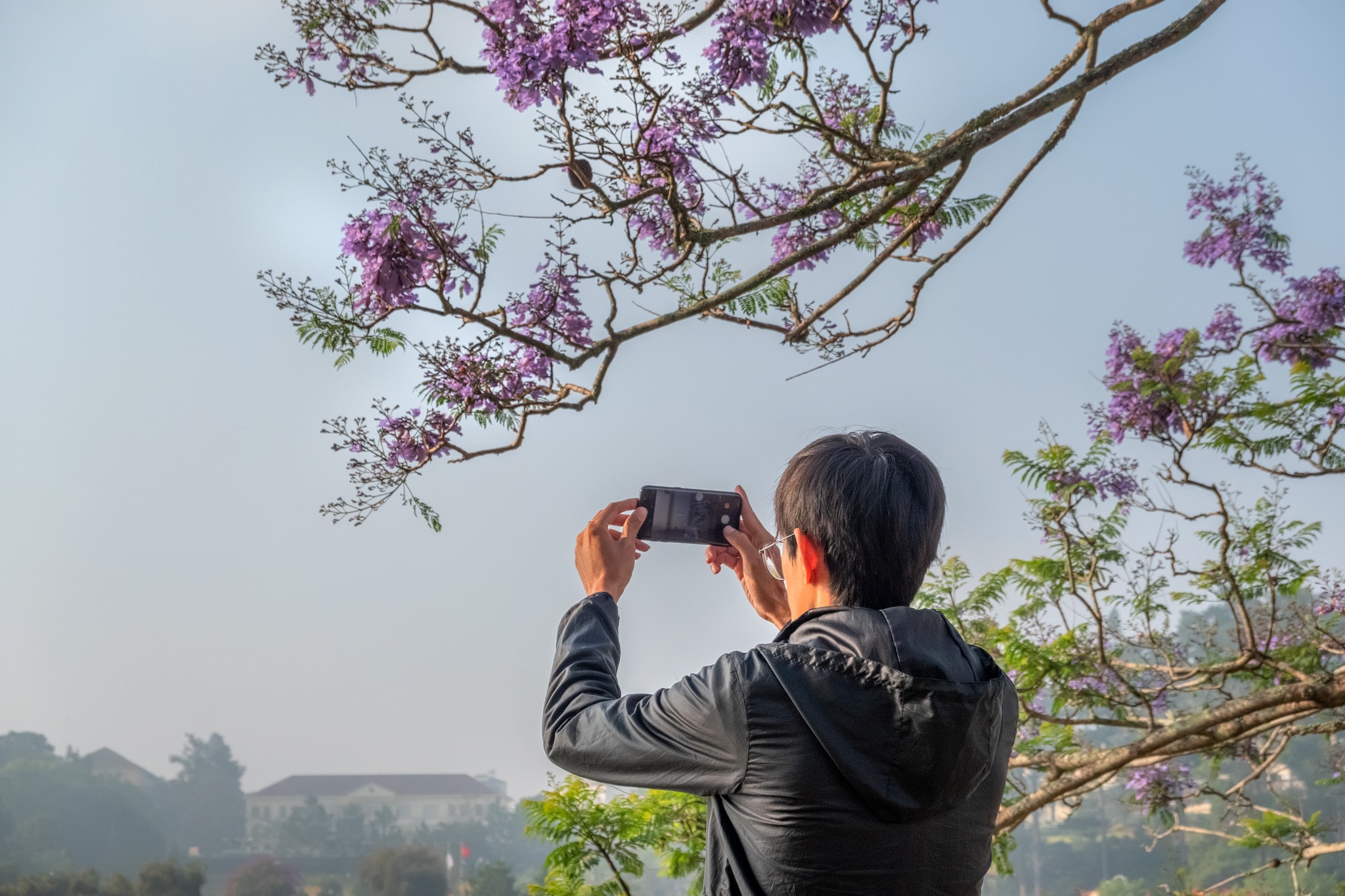 Da Lat mua phuong tim anh 11