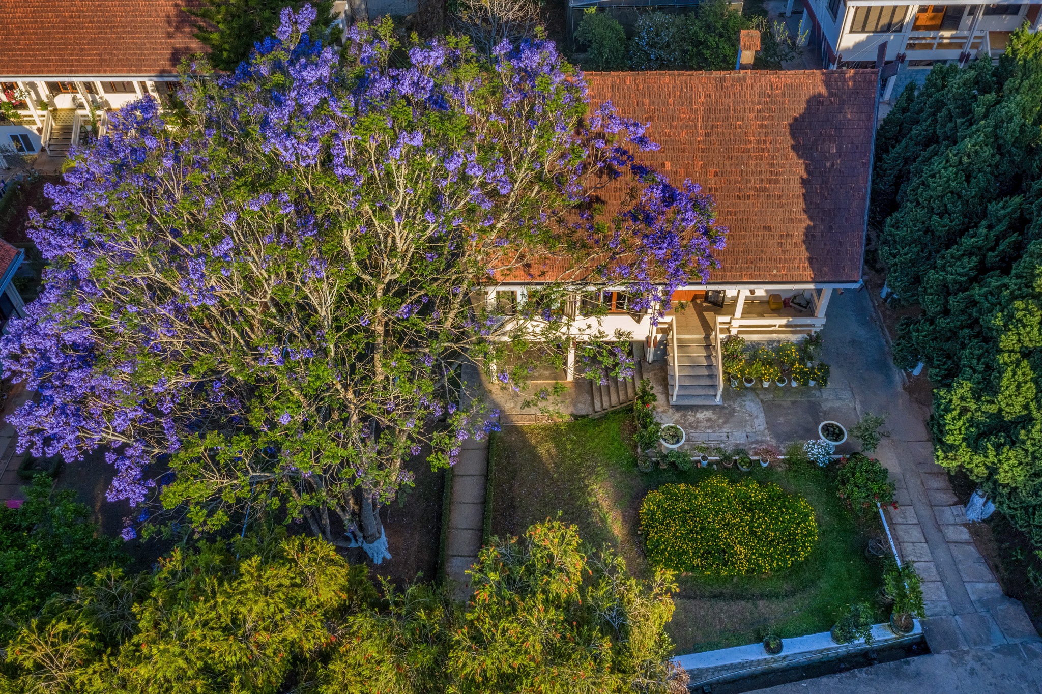 Da Lat mua phuong tim anh 7