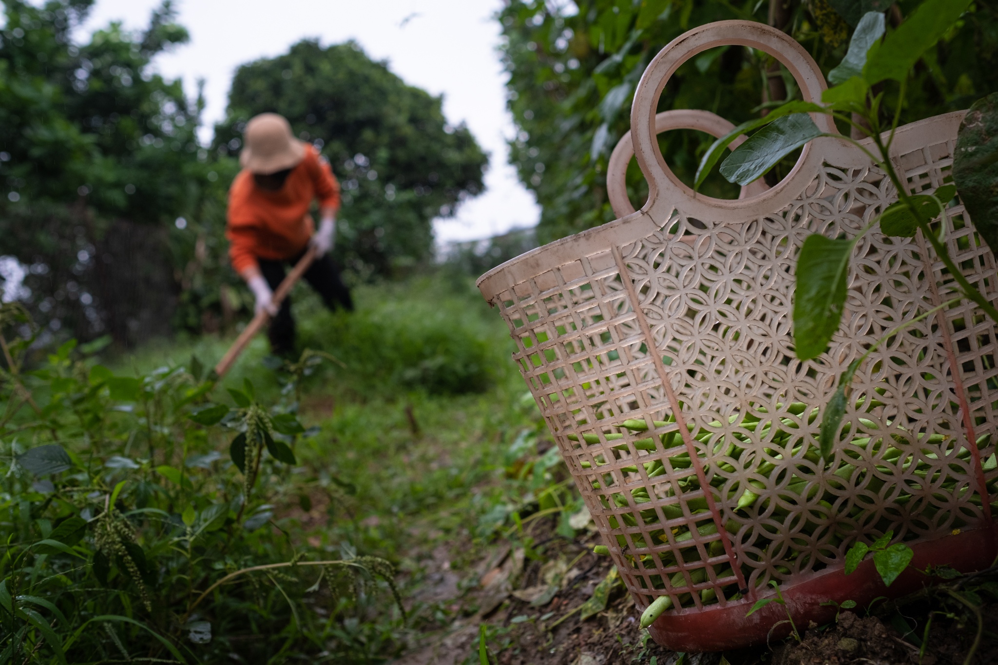 trung tam cap cuu 115 mua dich anh 25