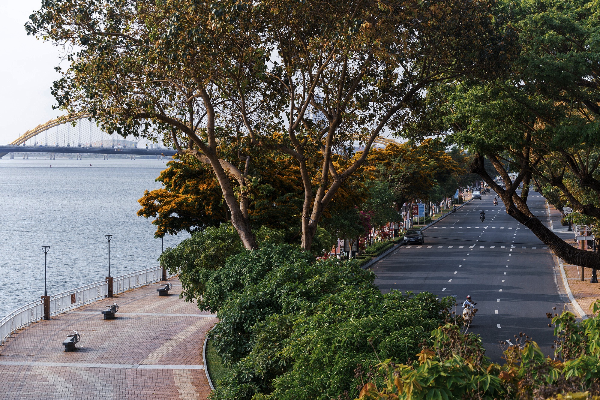 Da Nang ngay cach ly toan xa hoi anh 5