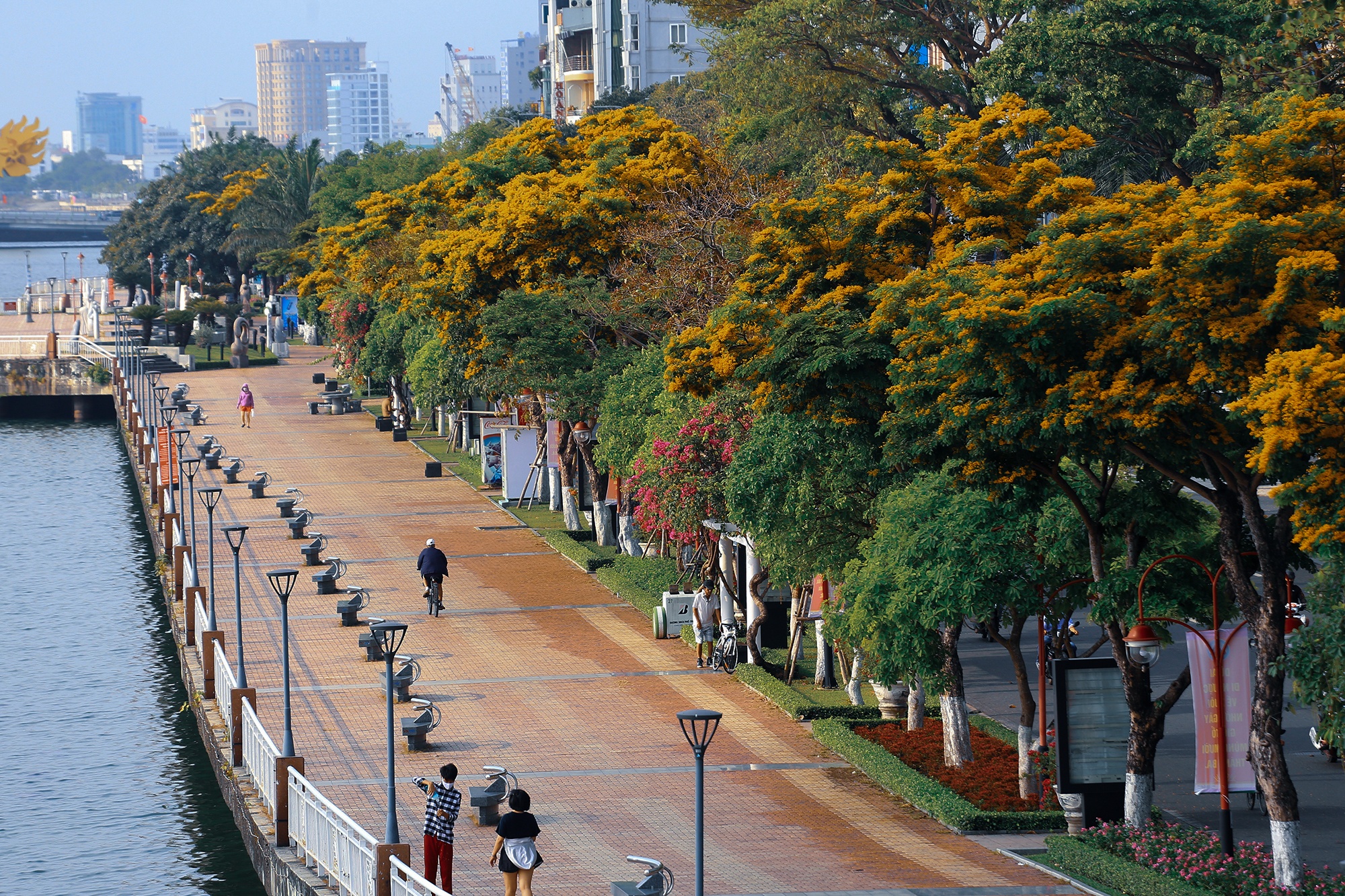 Da Nang vang ve nhung ngay cach ly toan xa hoi hinh anh