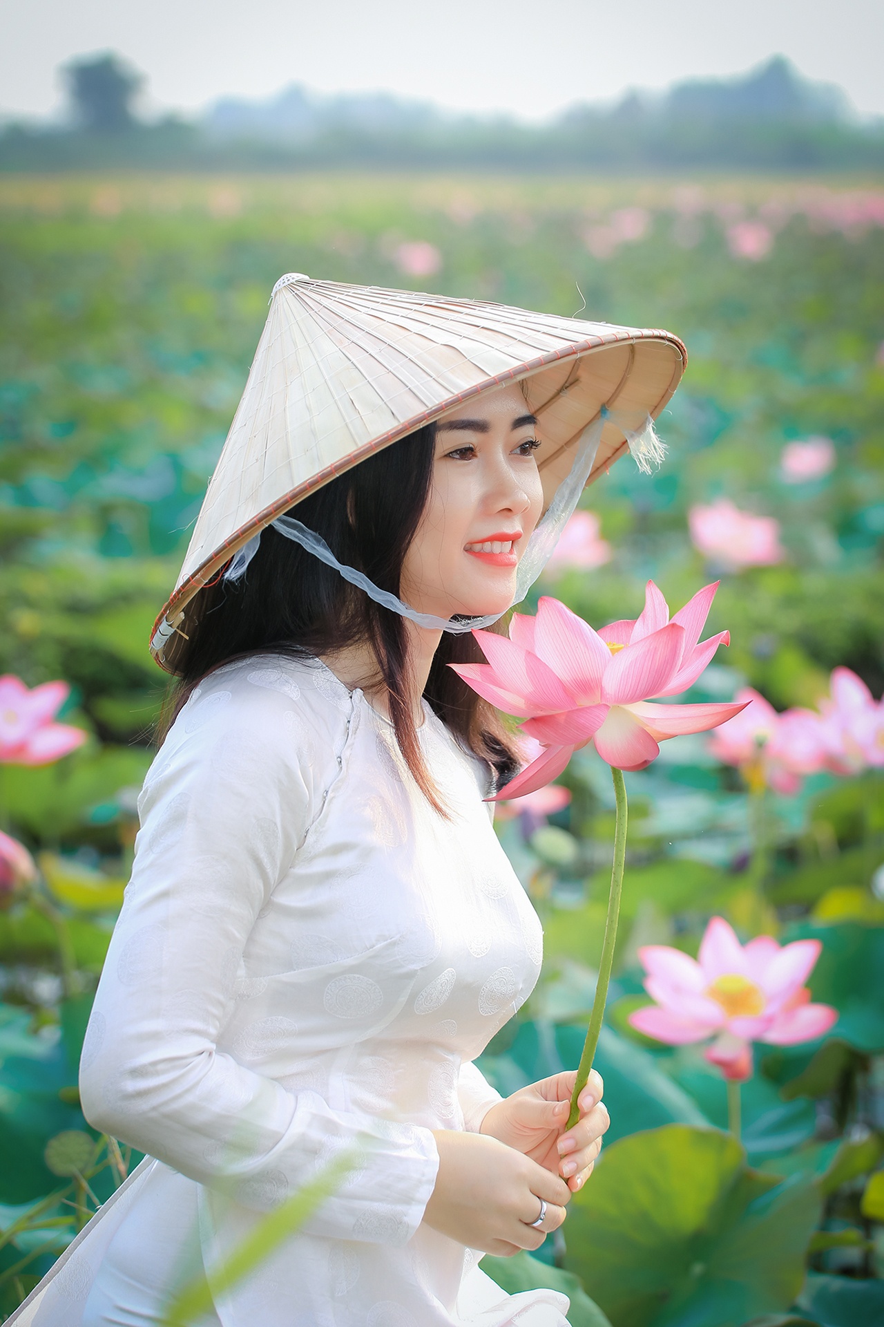 mua sen no o Quang Nam anh 7