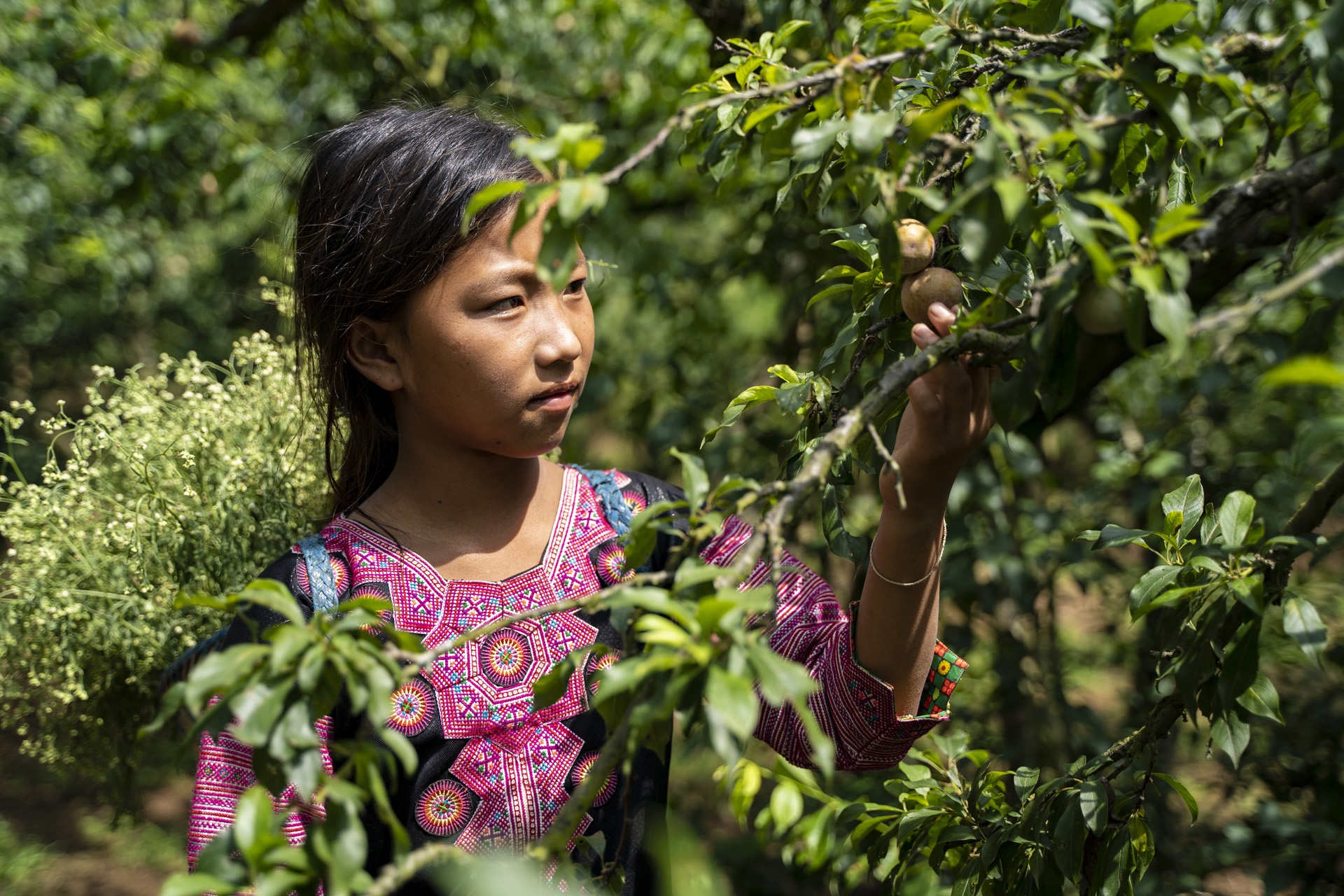 Man rot gia, nong dan lo that thu hinh anh