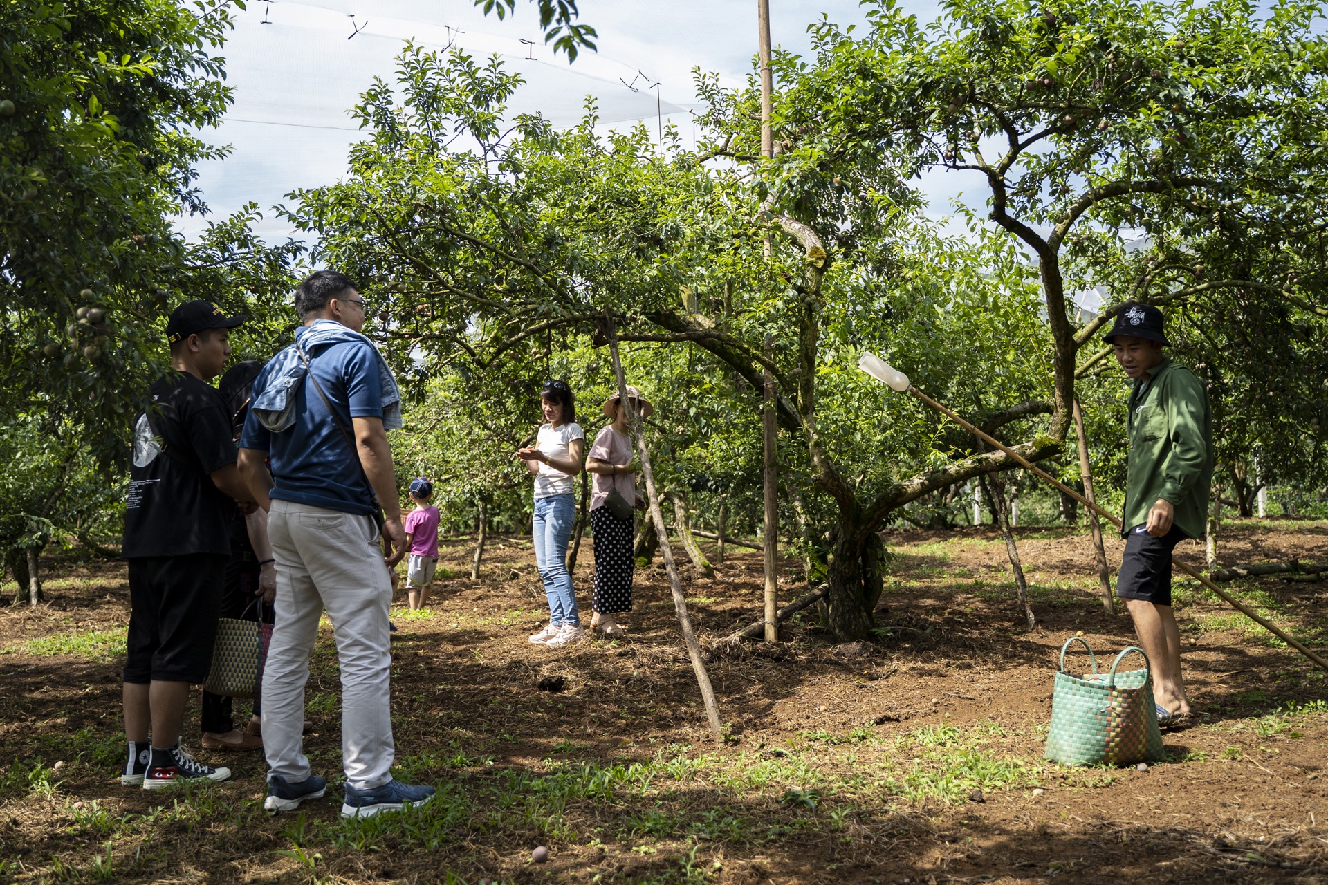man Moc Chau mat mua anh 10