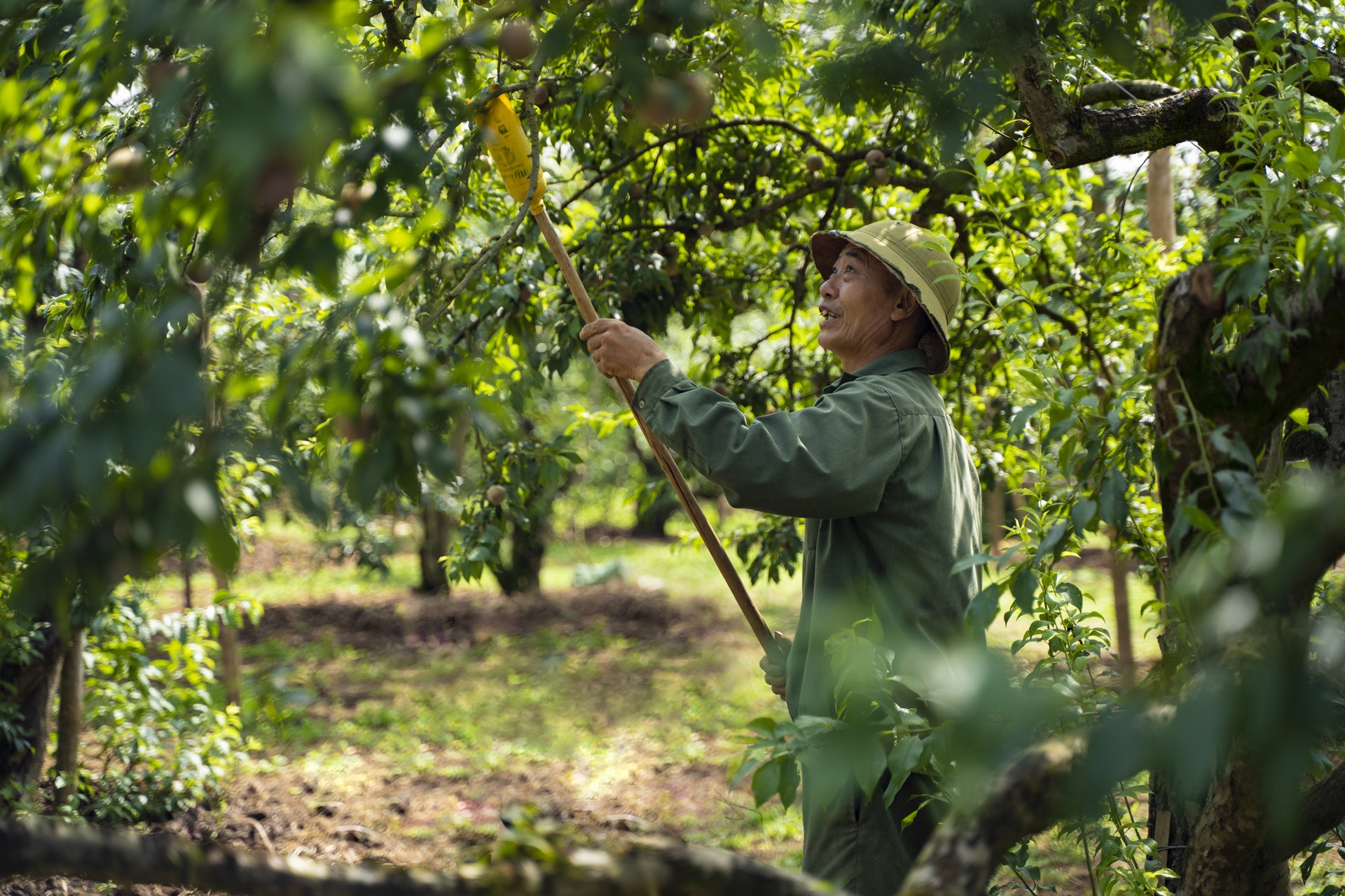 man Moc Chau mat mua anh 3