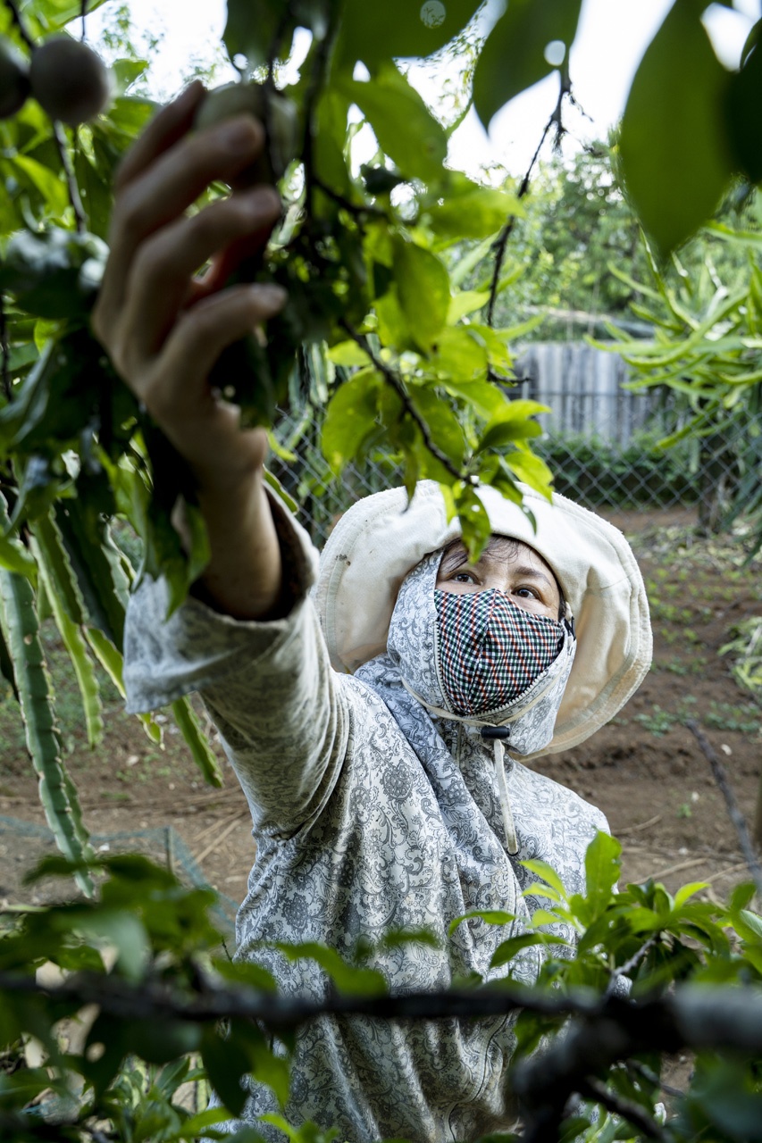 man Moc Chau mat mua anh 5