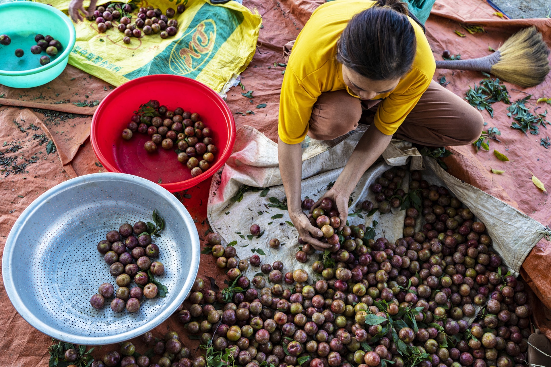 man Moc Chau mat mua anh 7
