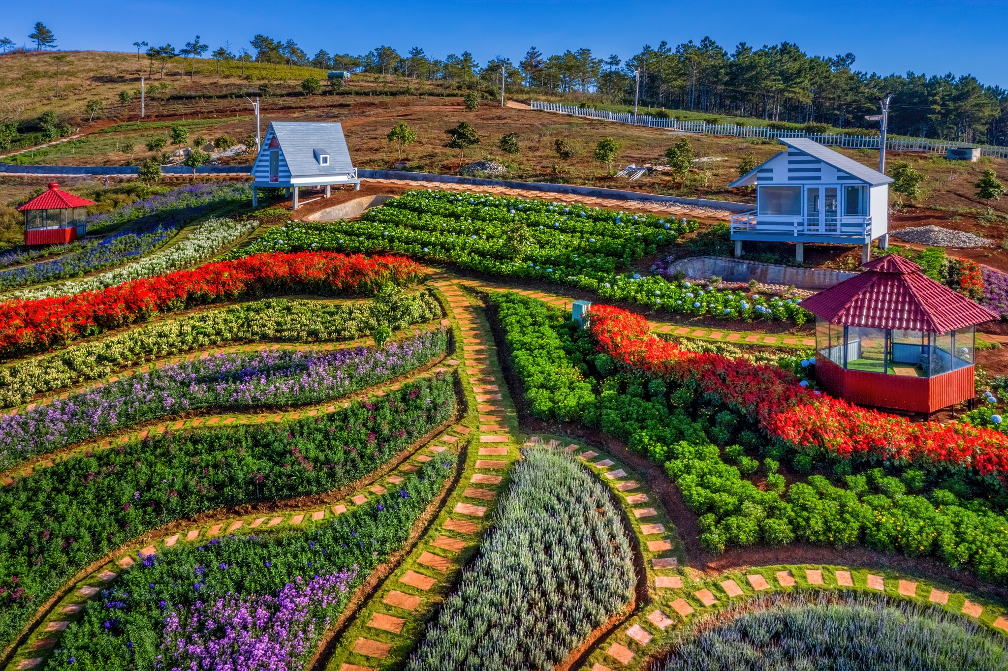 Nhung diem check-in noi tieng cua Da Lat nhin tu tren cao hinh anh