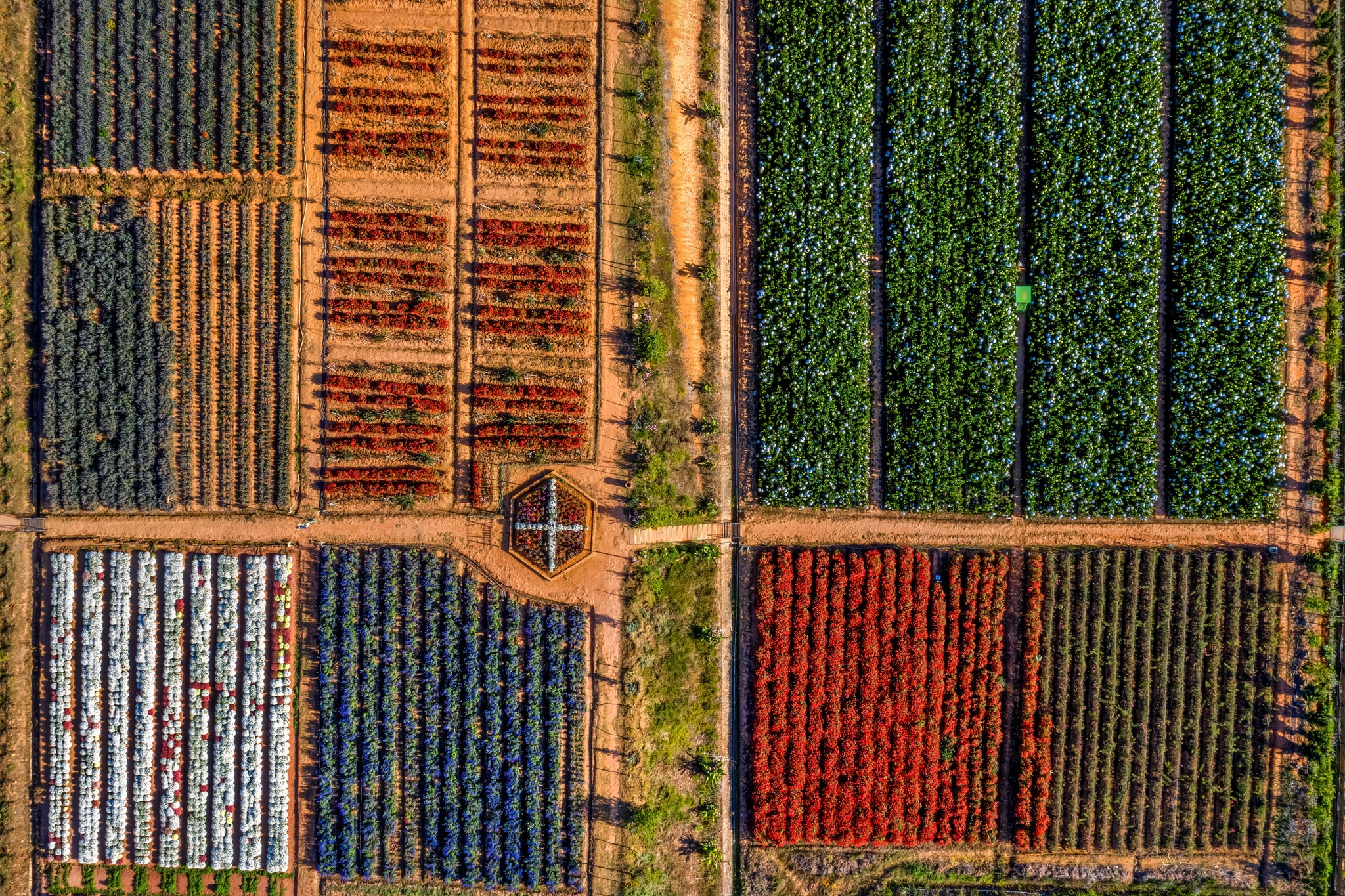 cac dia diem vui choi o Da Lat anh 2